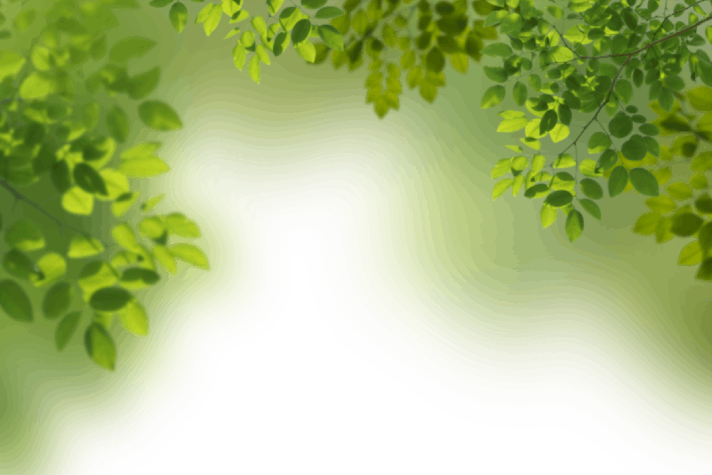 6.png