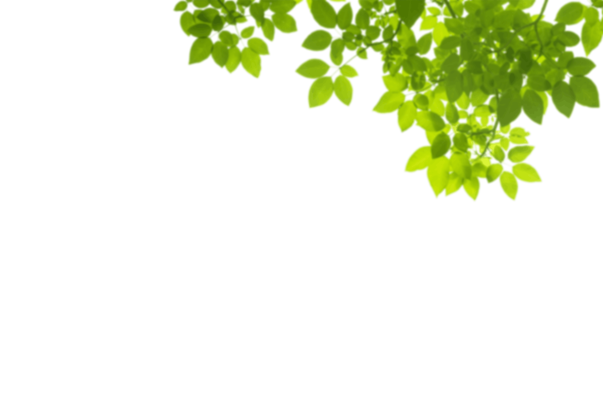 6.png
