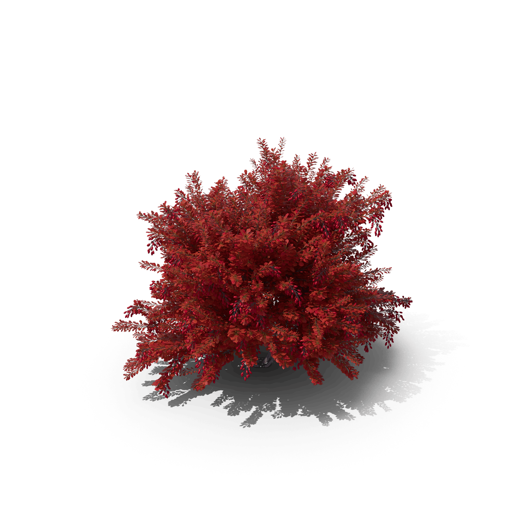 6.png
