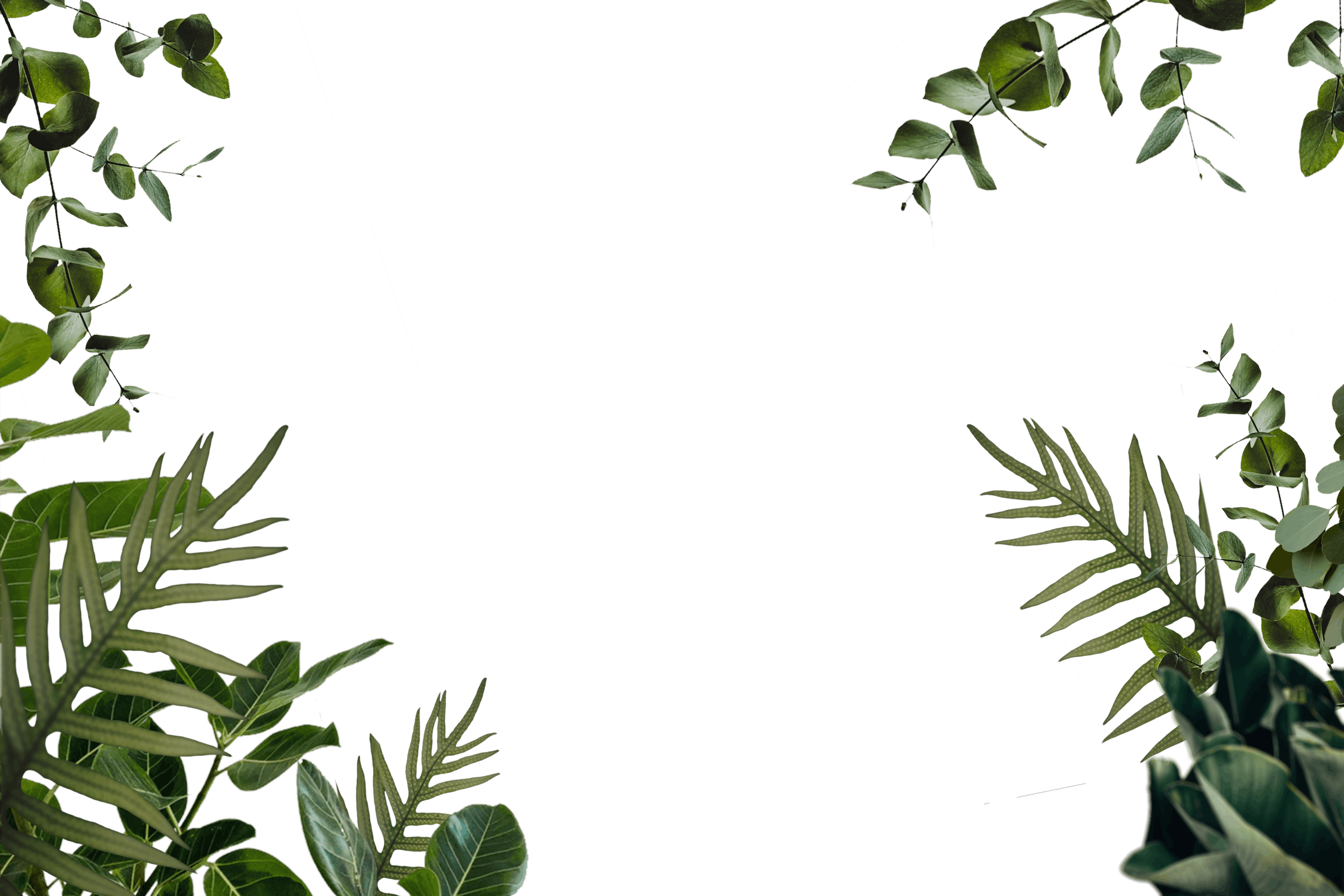 7.png