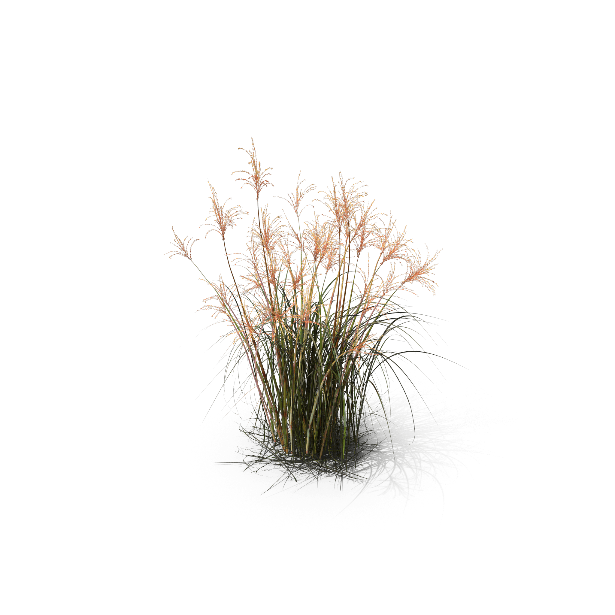 4.png
