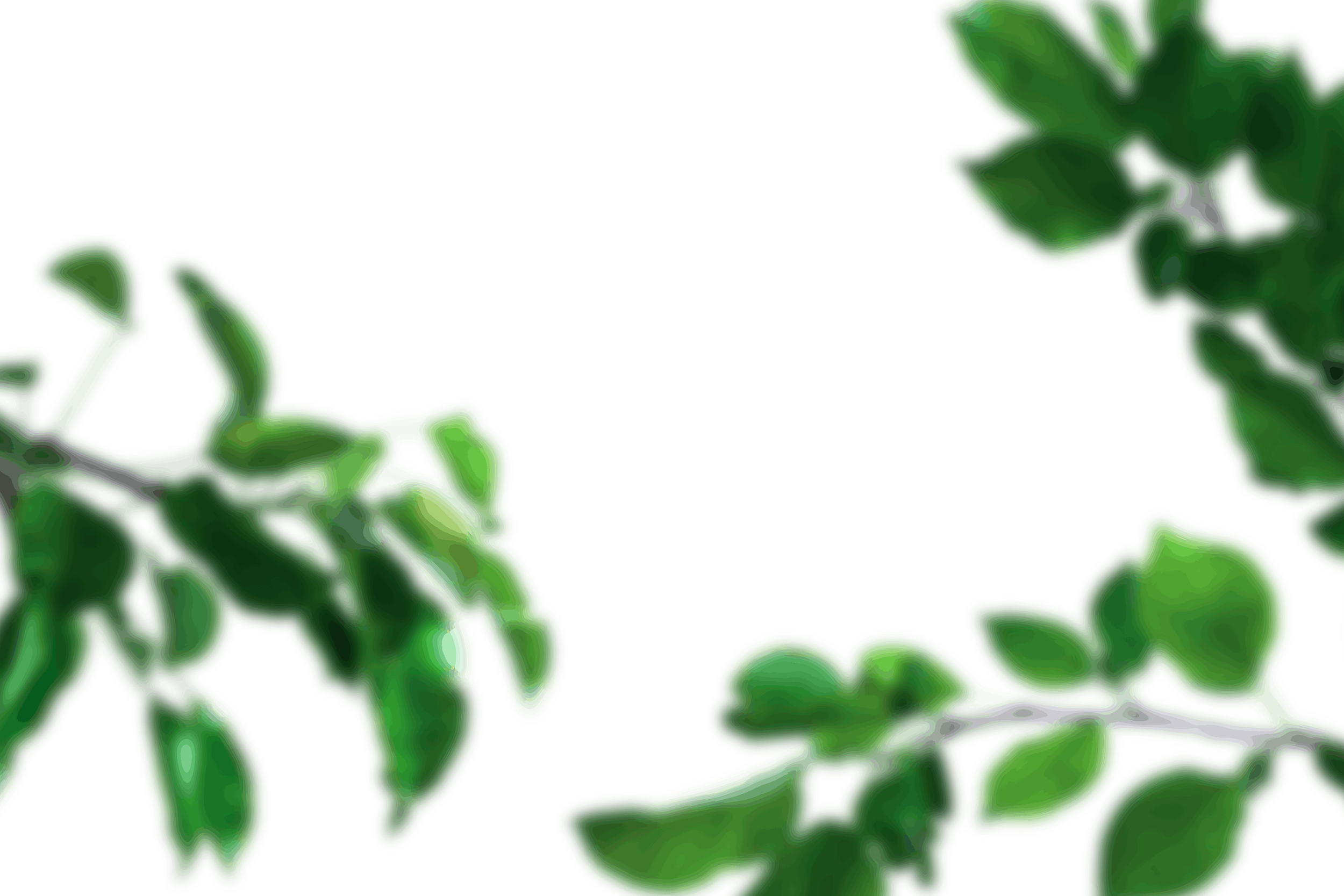 8.png