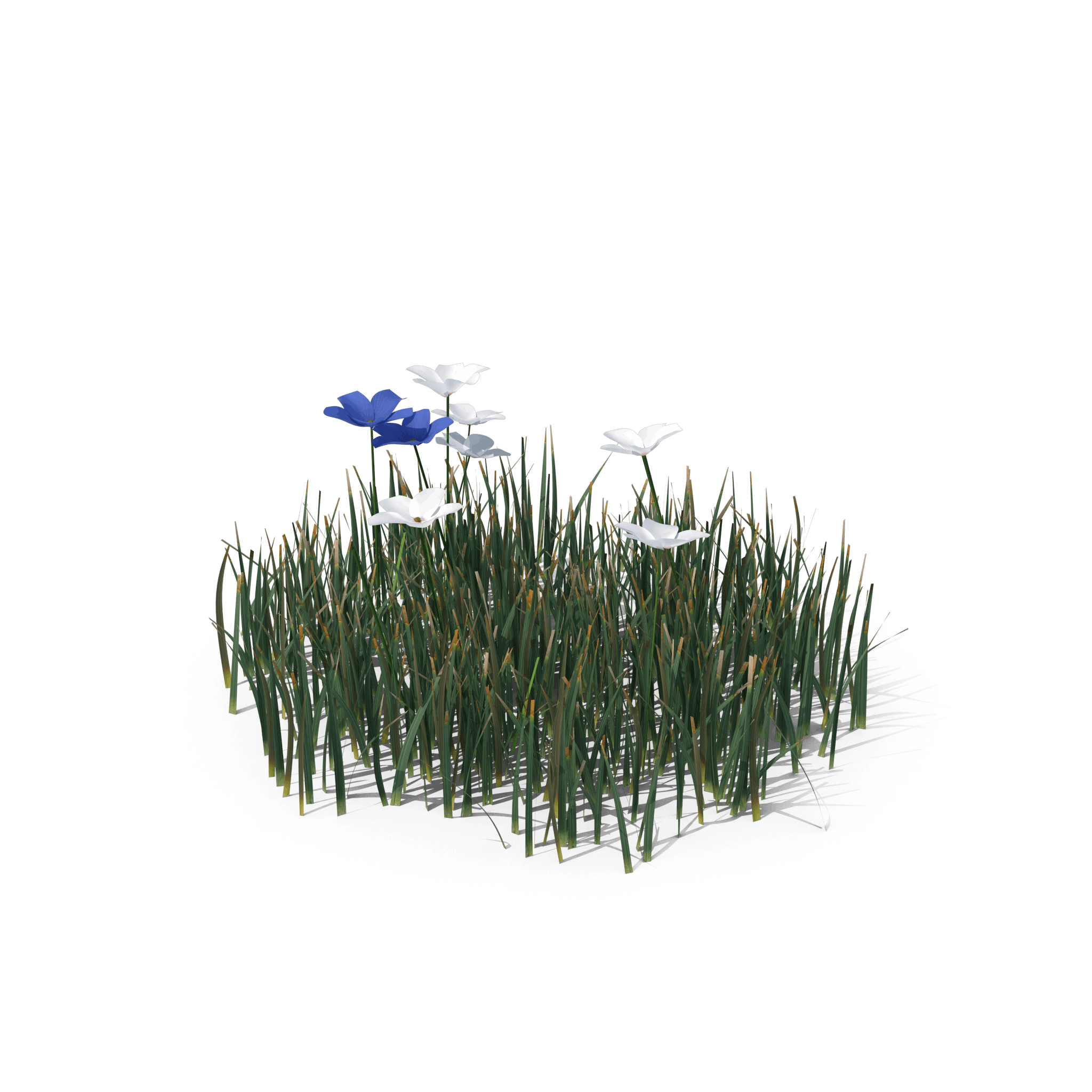 40.png