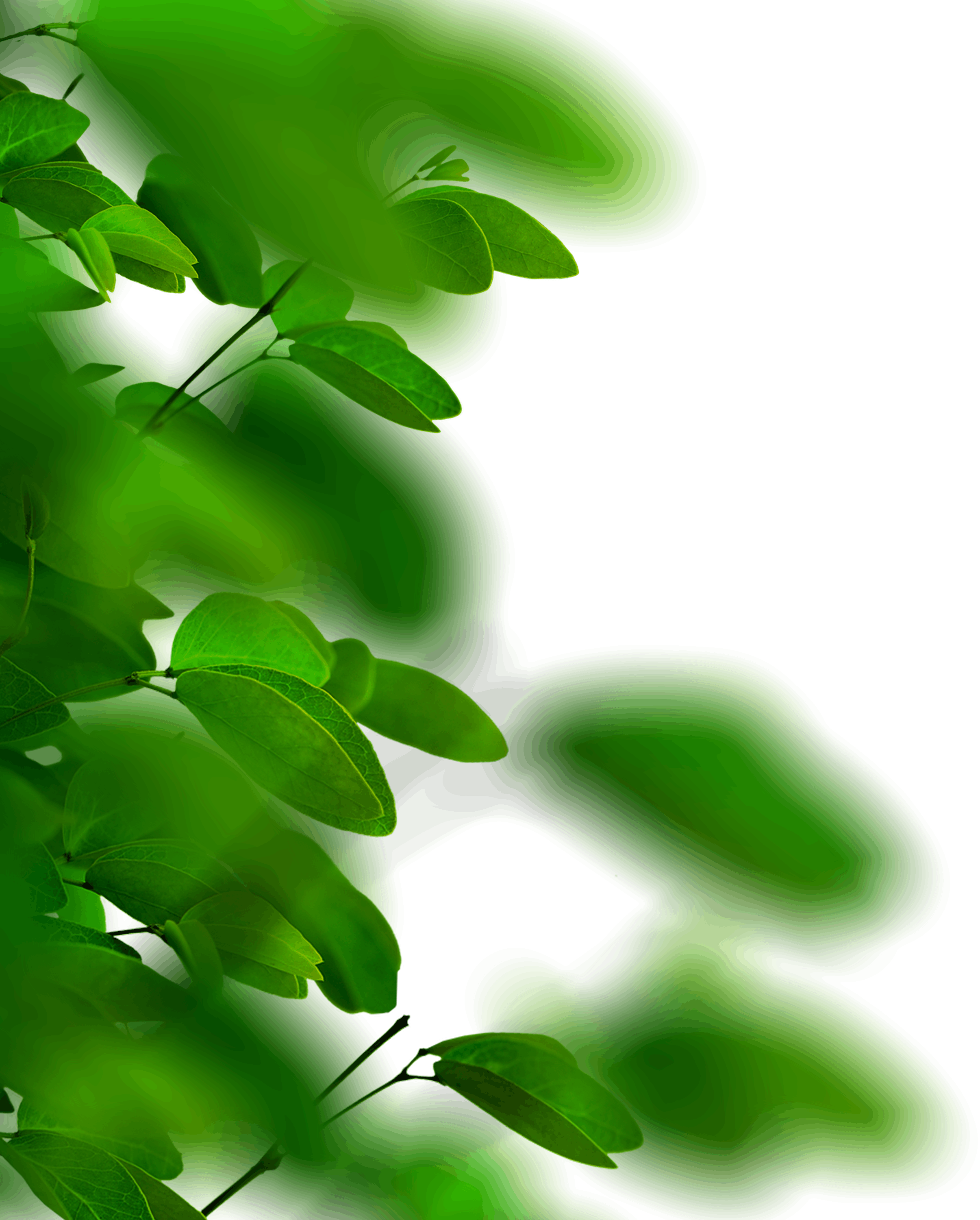 9.png