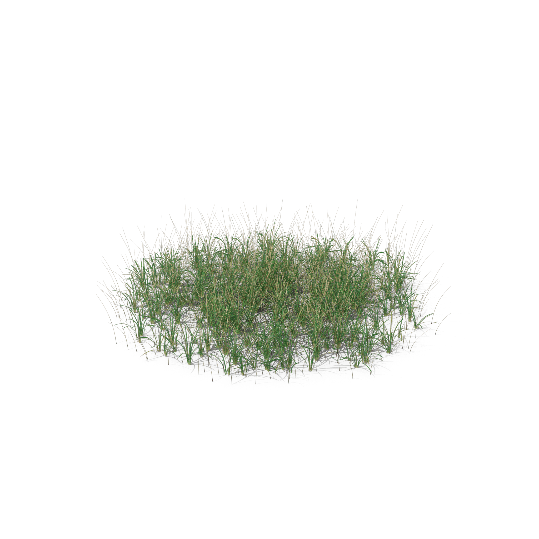 38.png