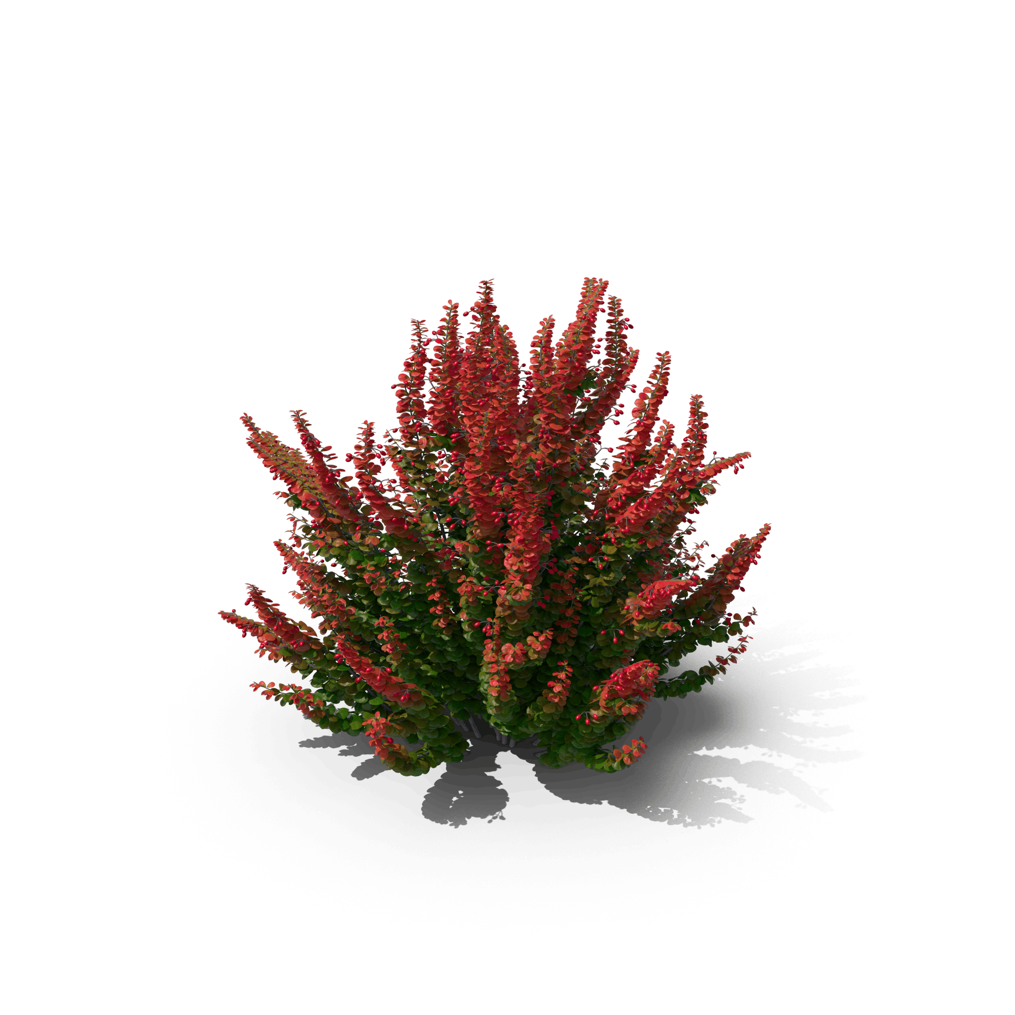 7.png
