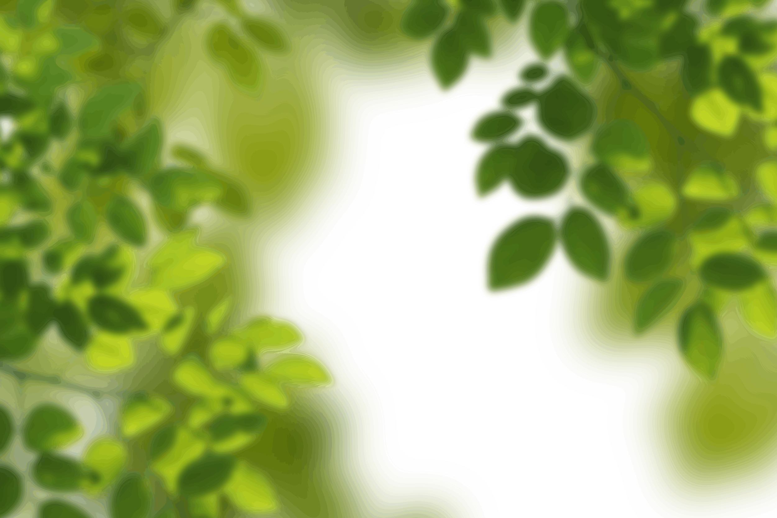 19.png