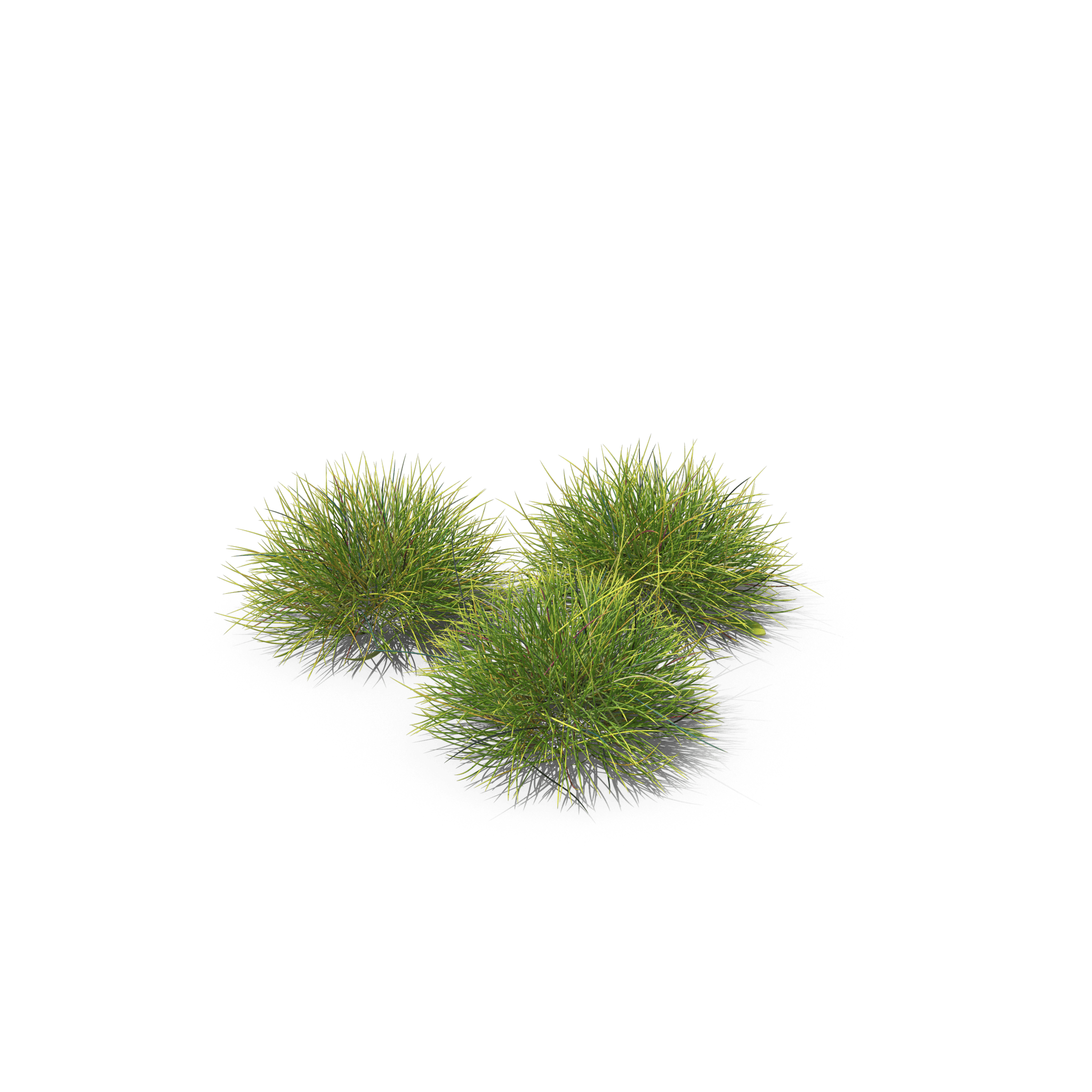 11.png
