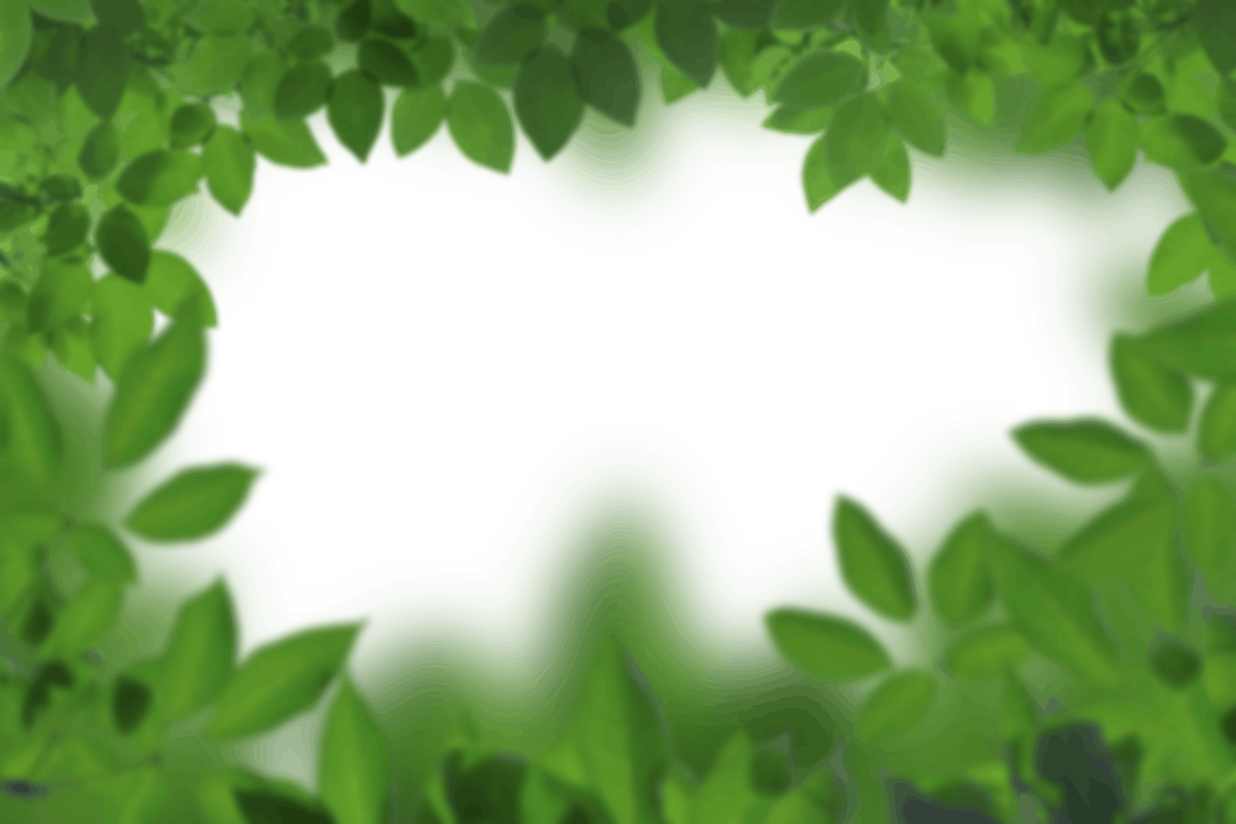 2.png