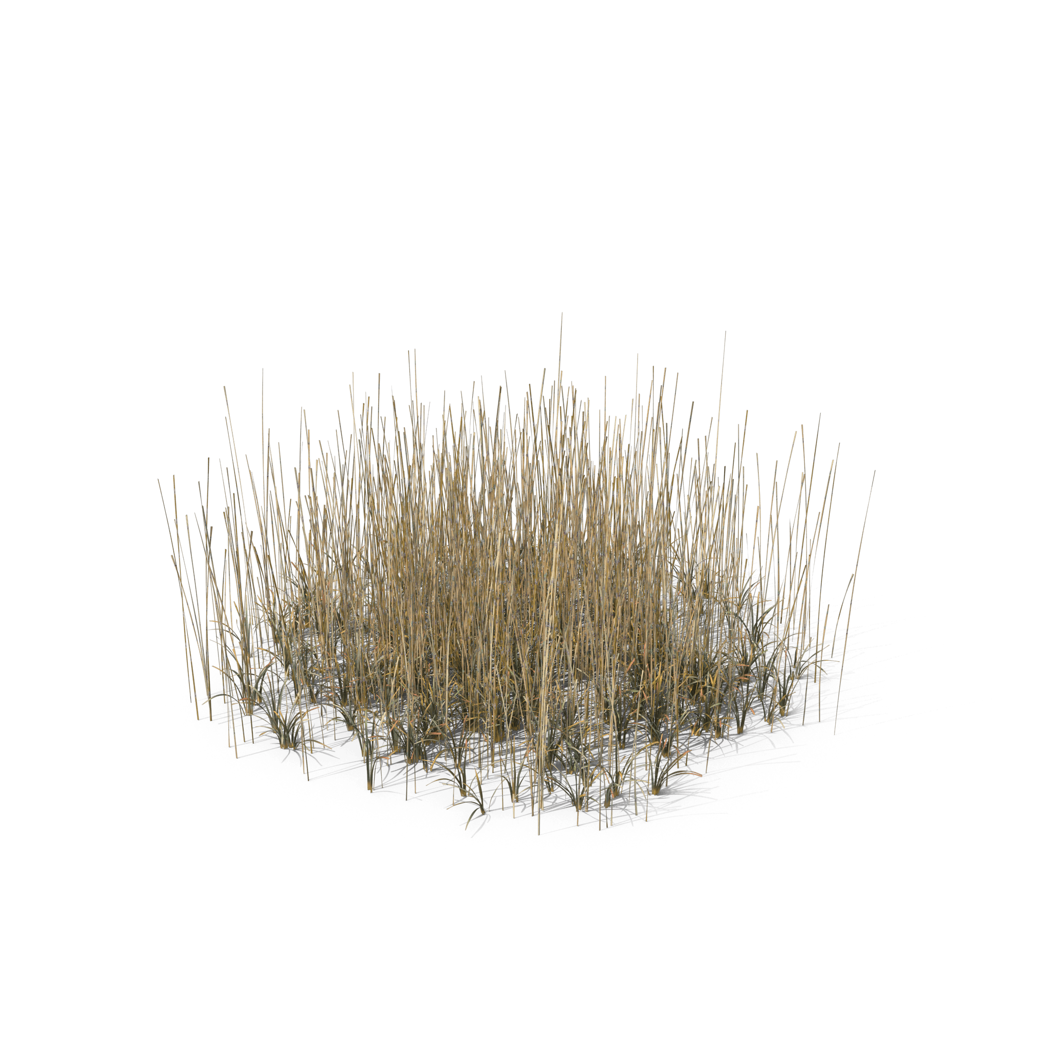48.png