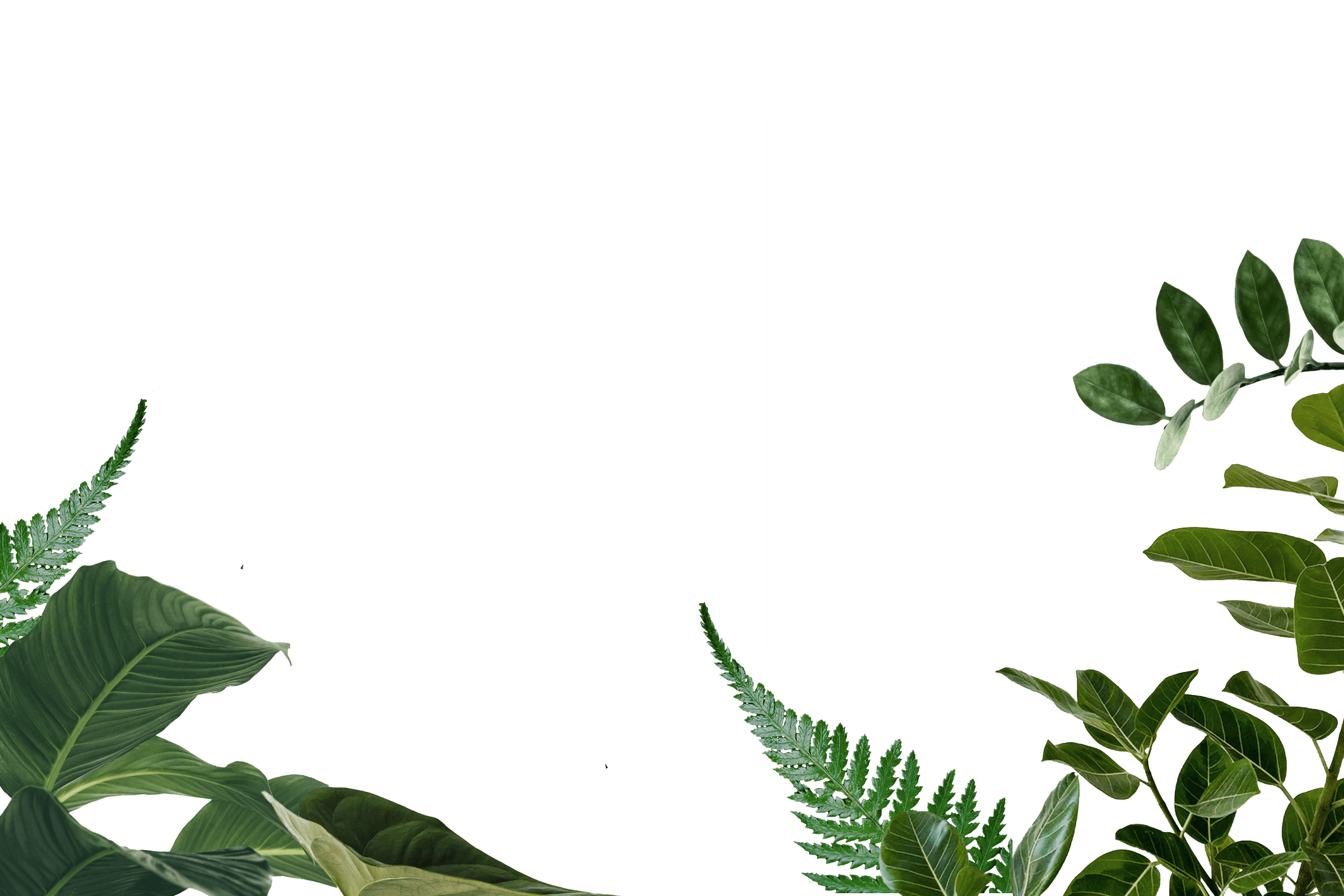 3.png