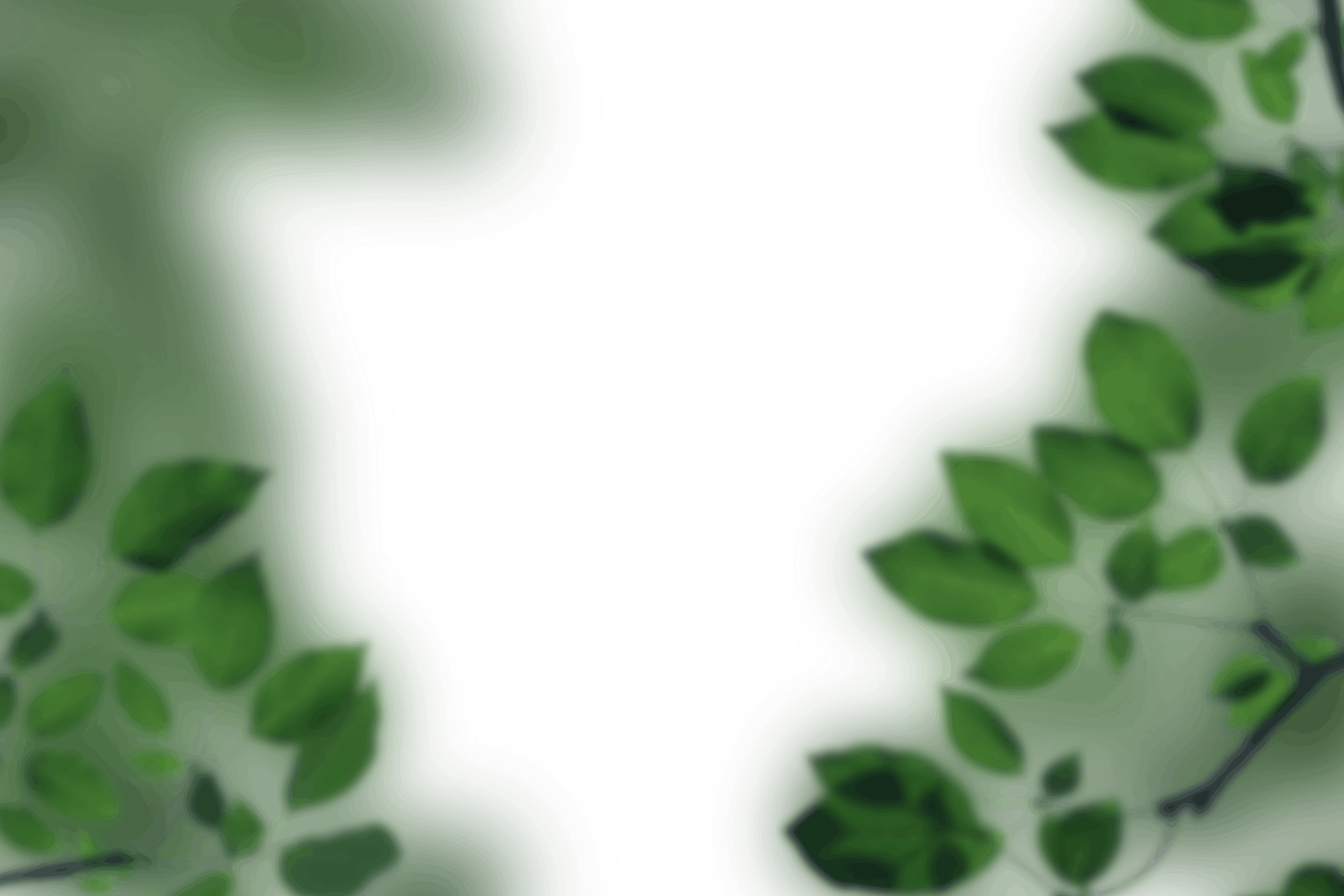 10.png