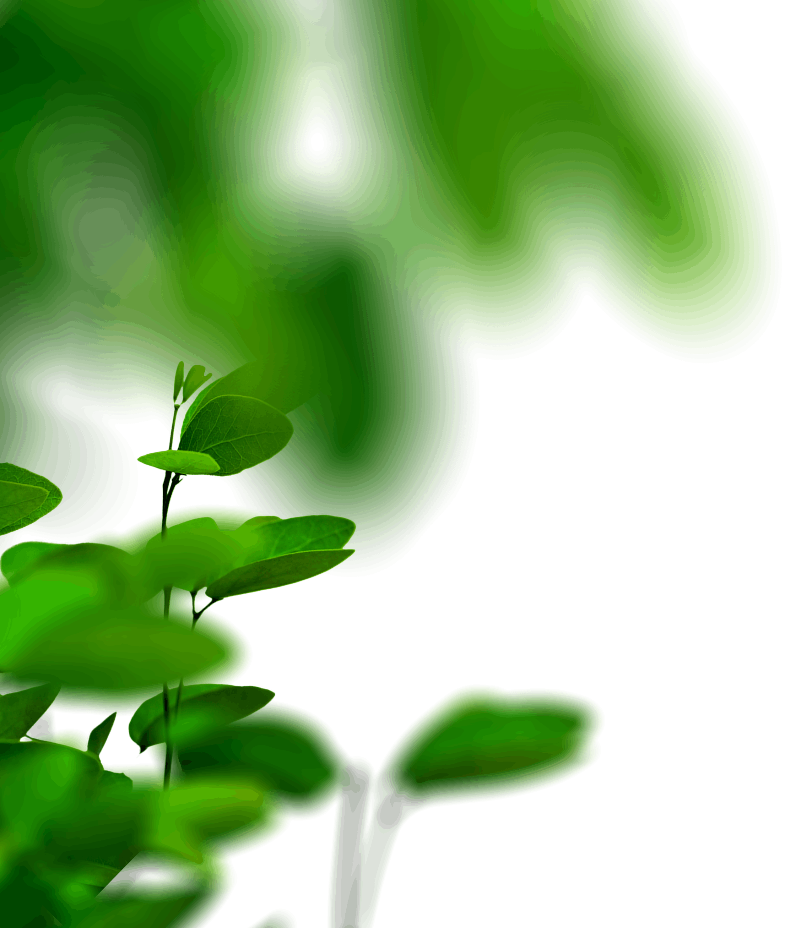 9.png