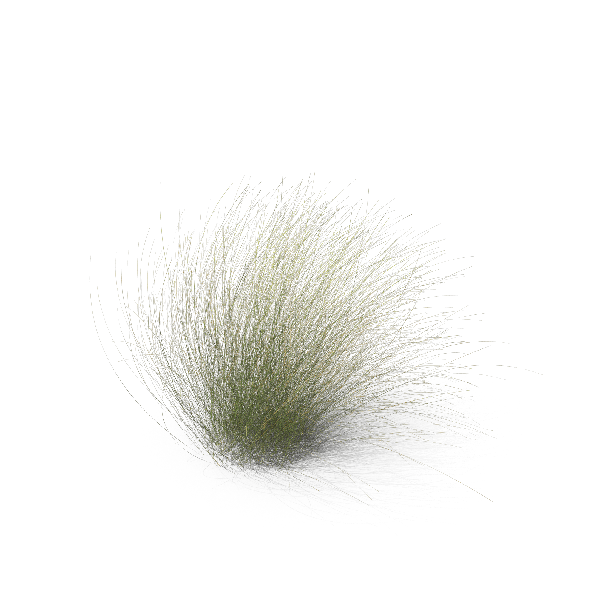 27.png