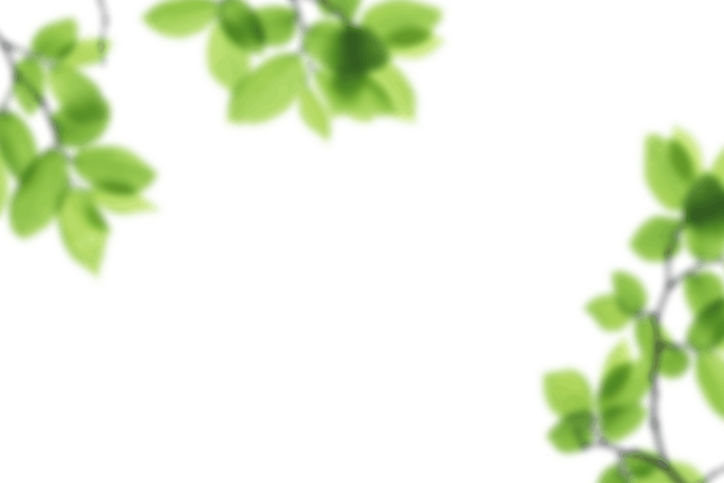 6.png