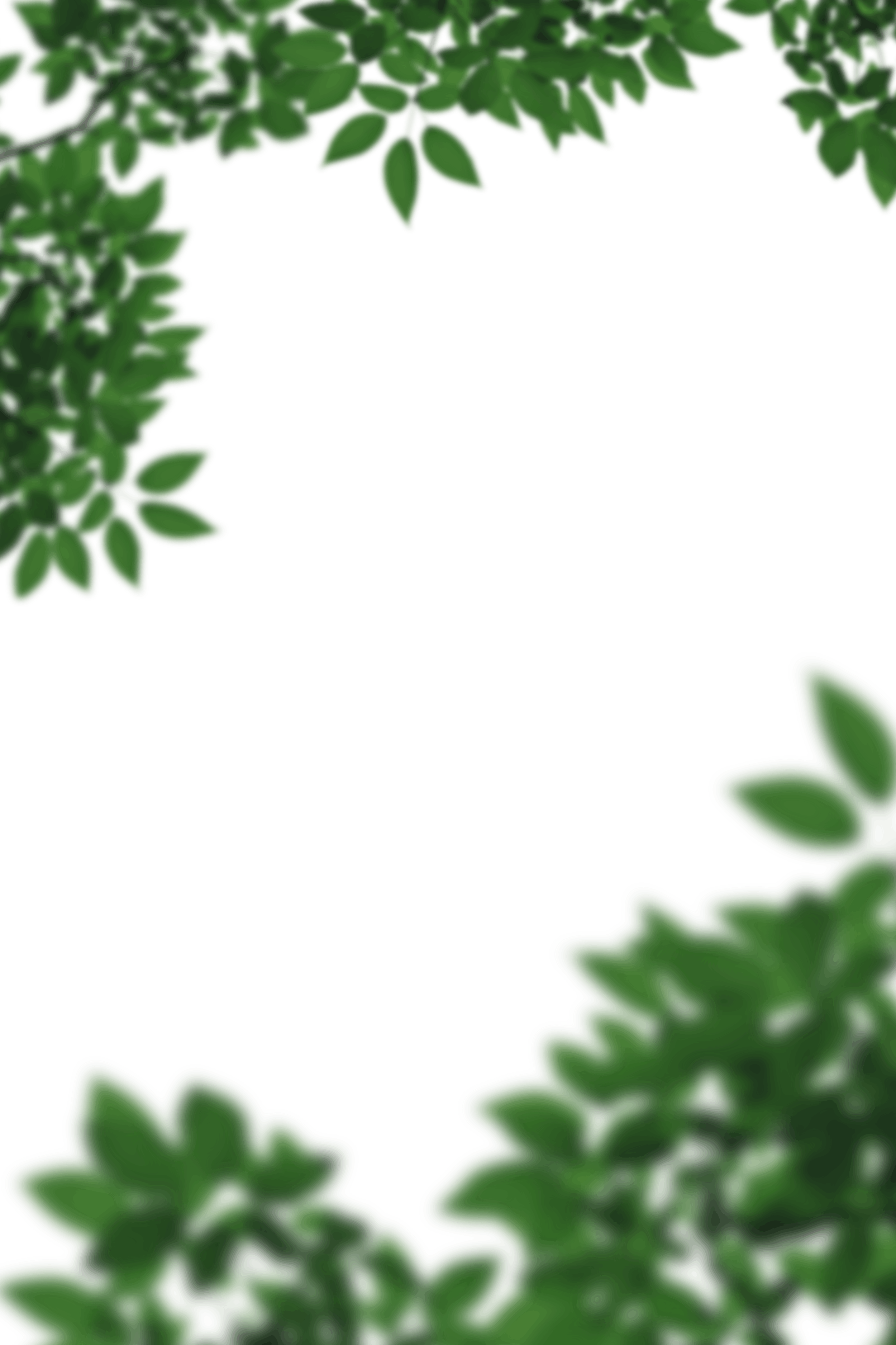 11.png