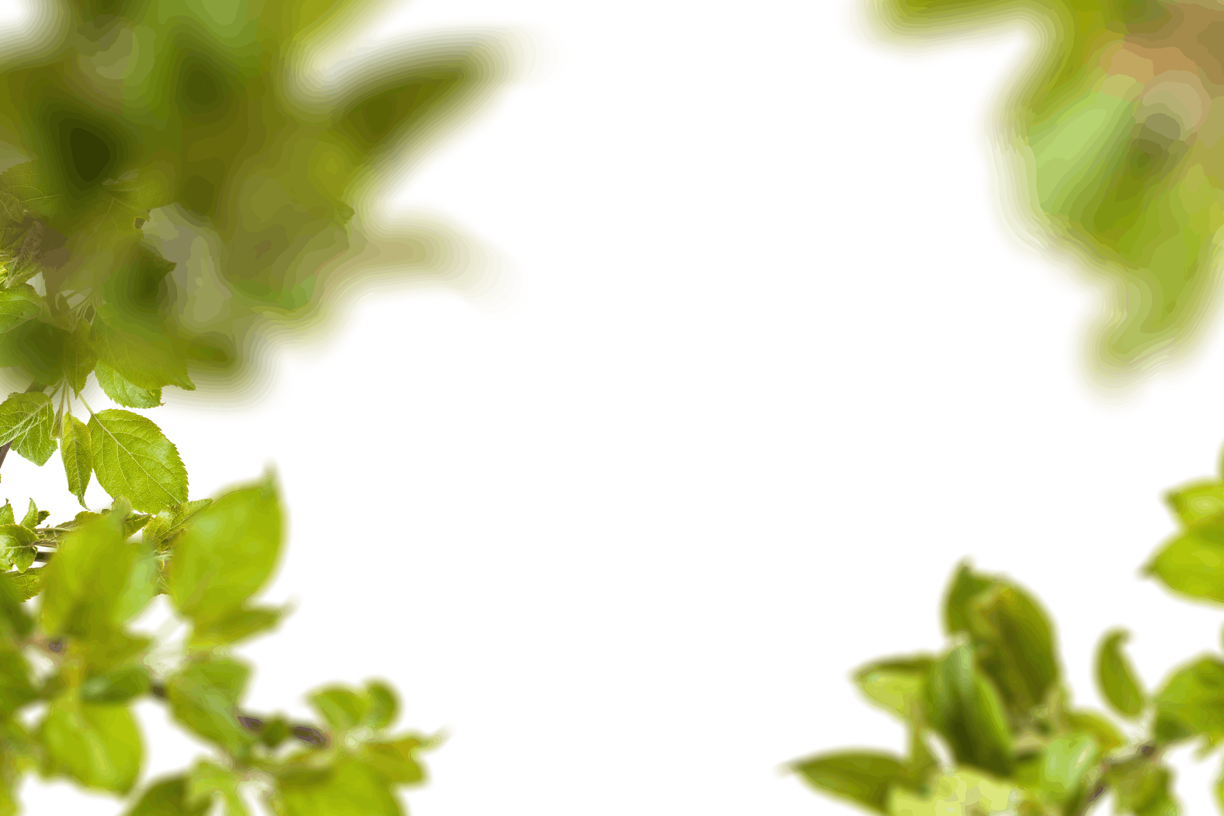 8.png