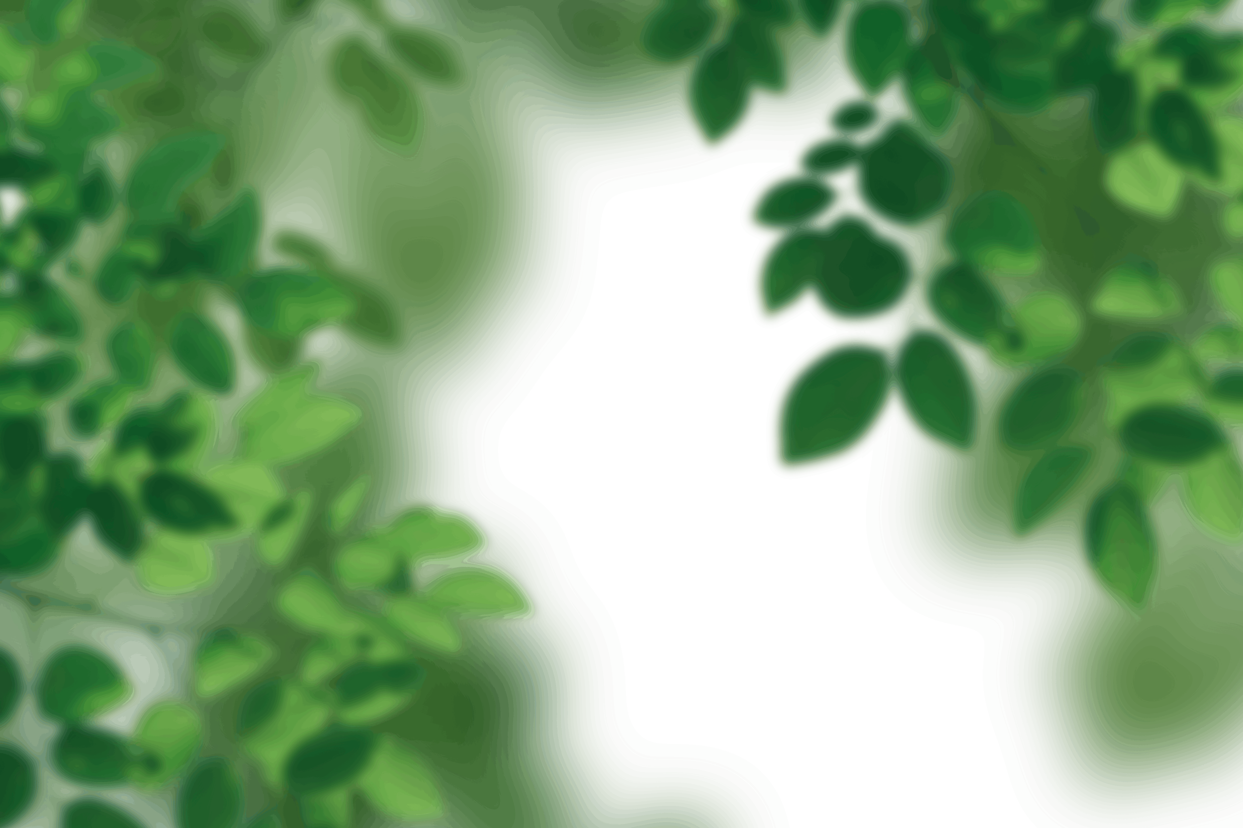20.png