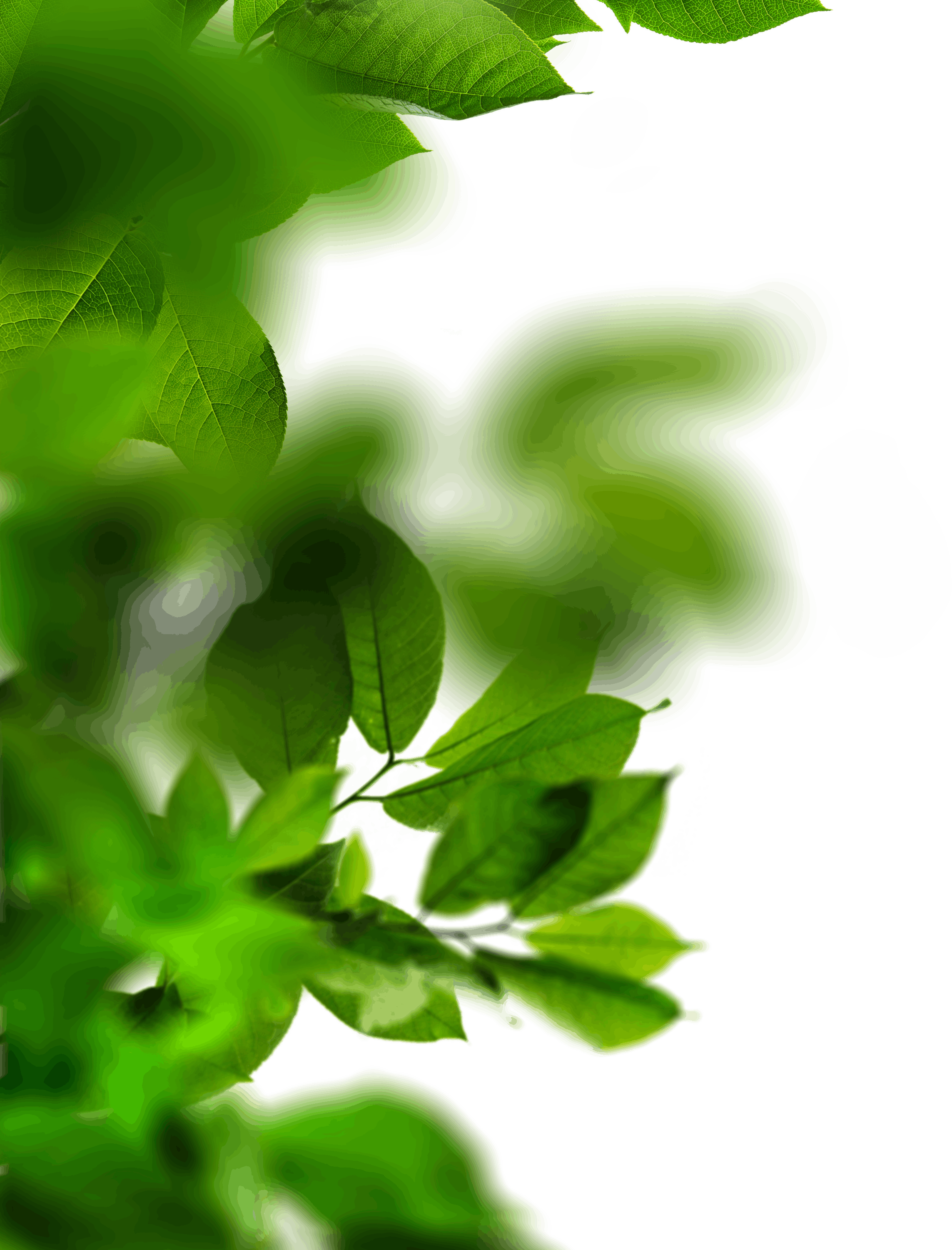 10.png