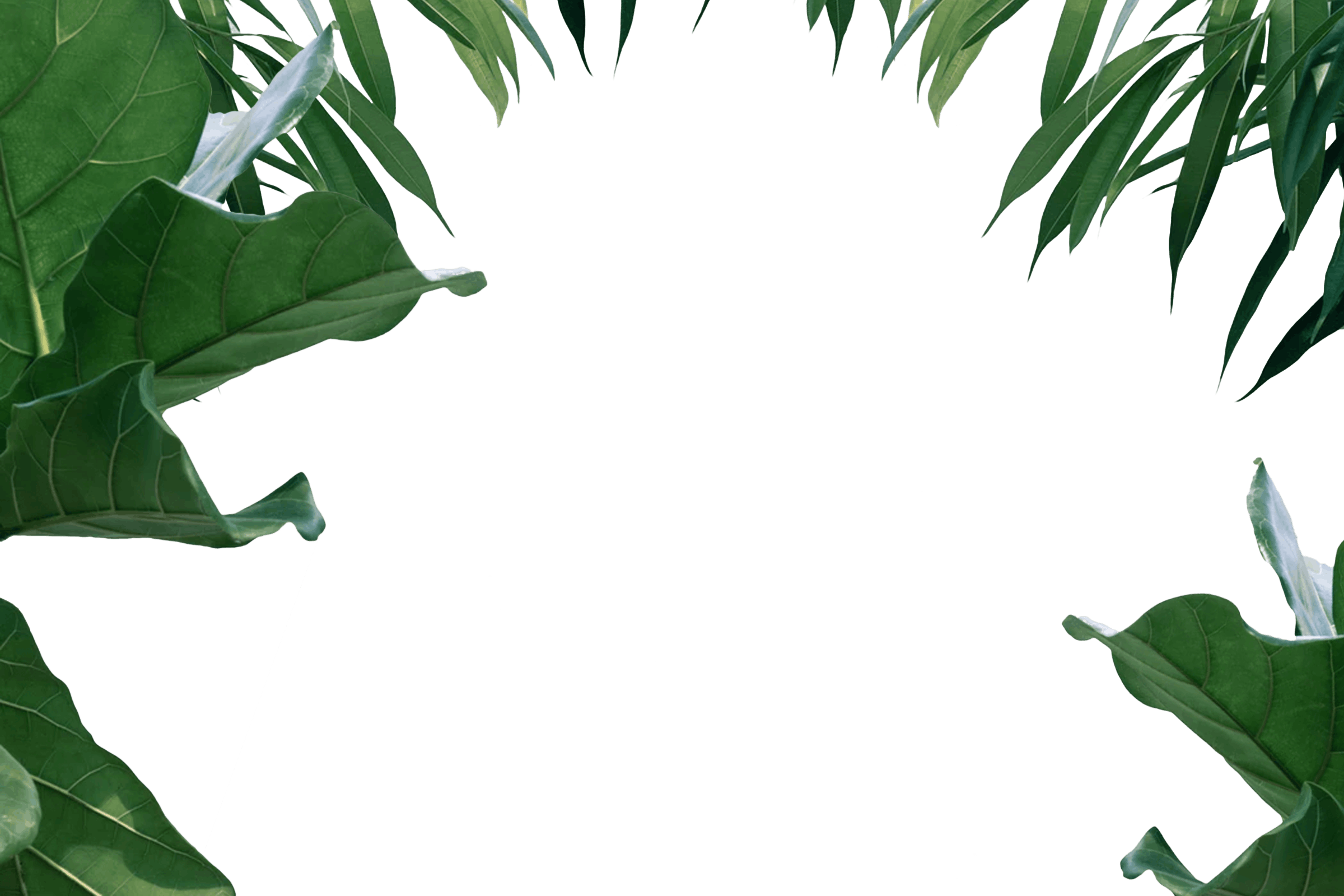 13.png