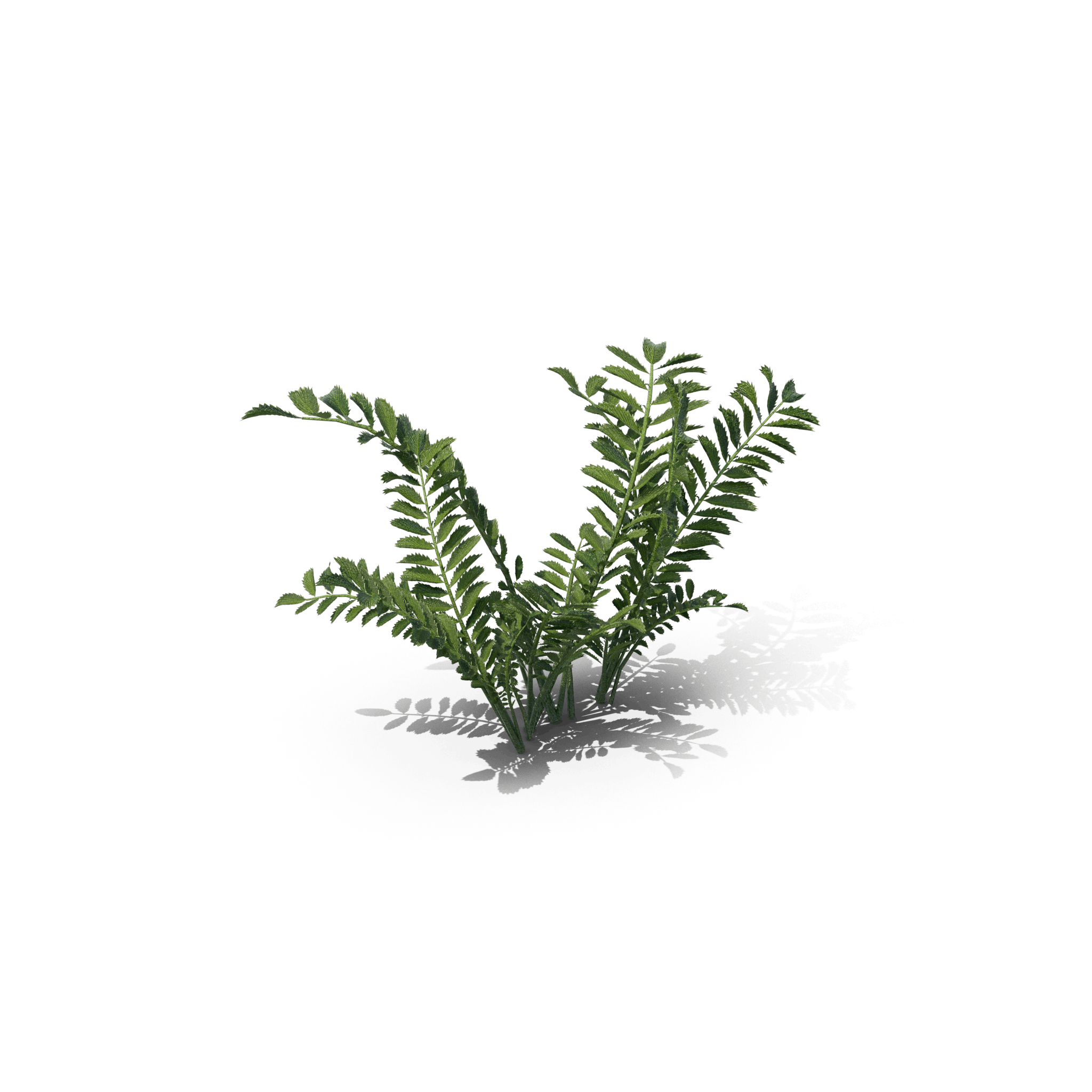 36.png