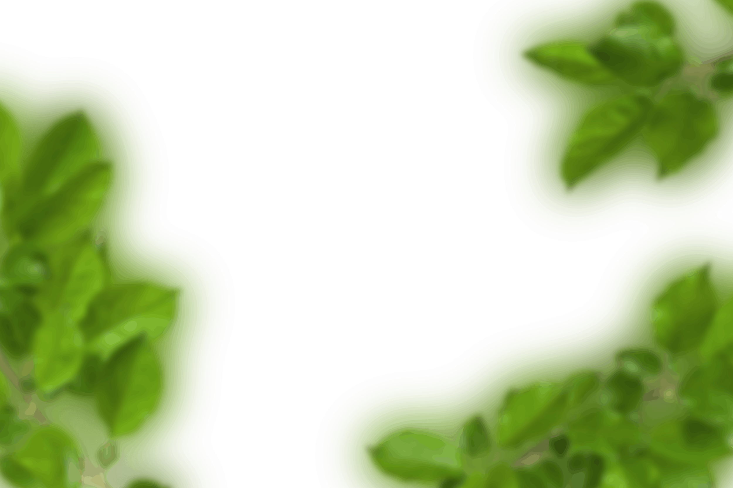 11.png