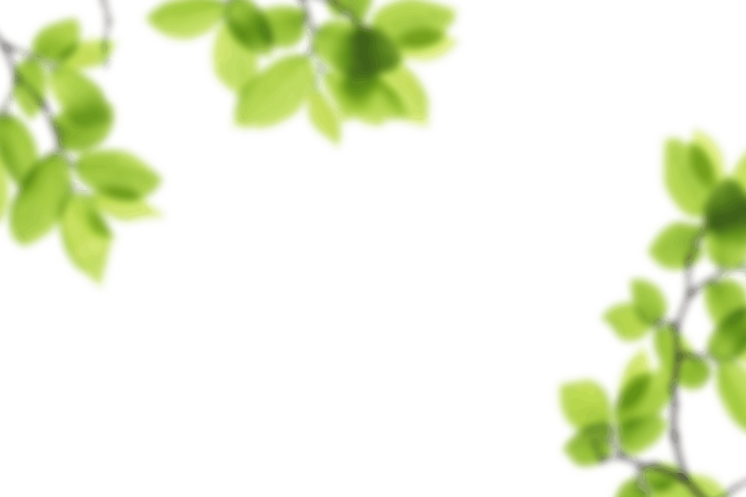 8.png