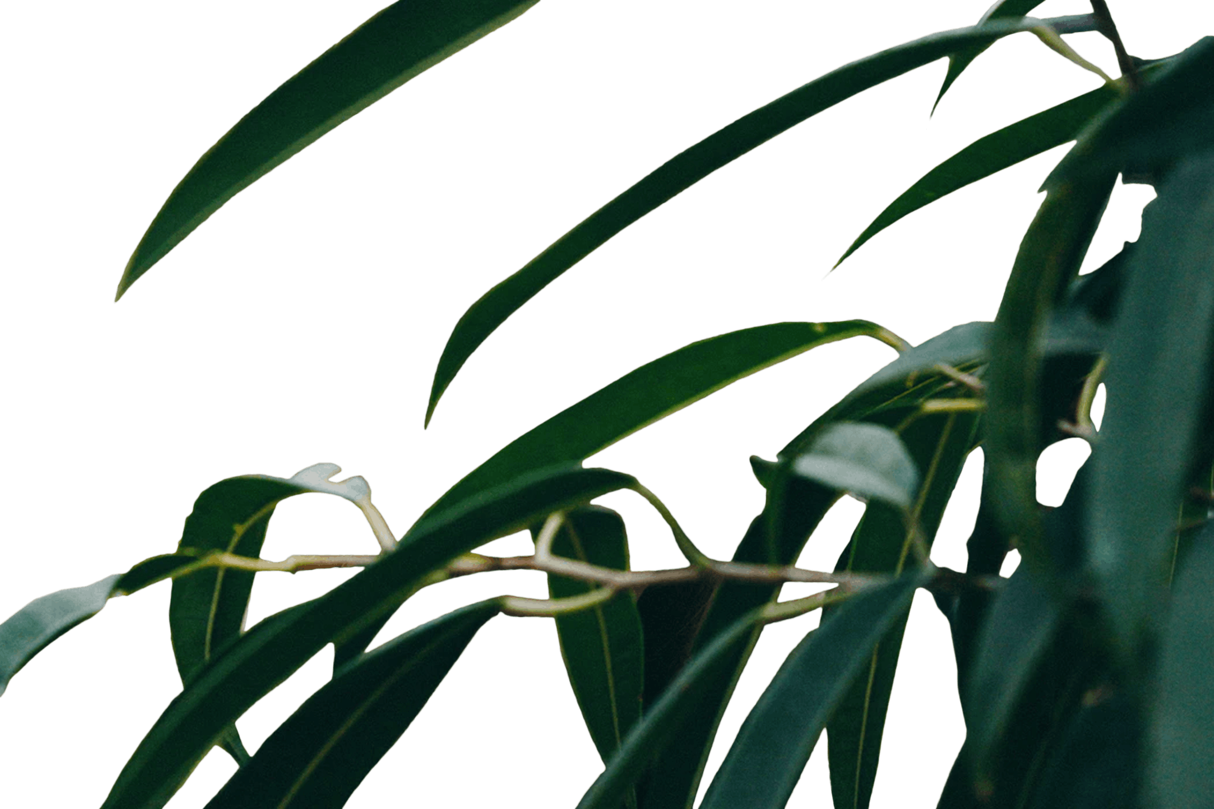 14.png