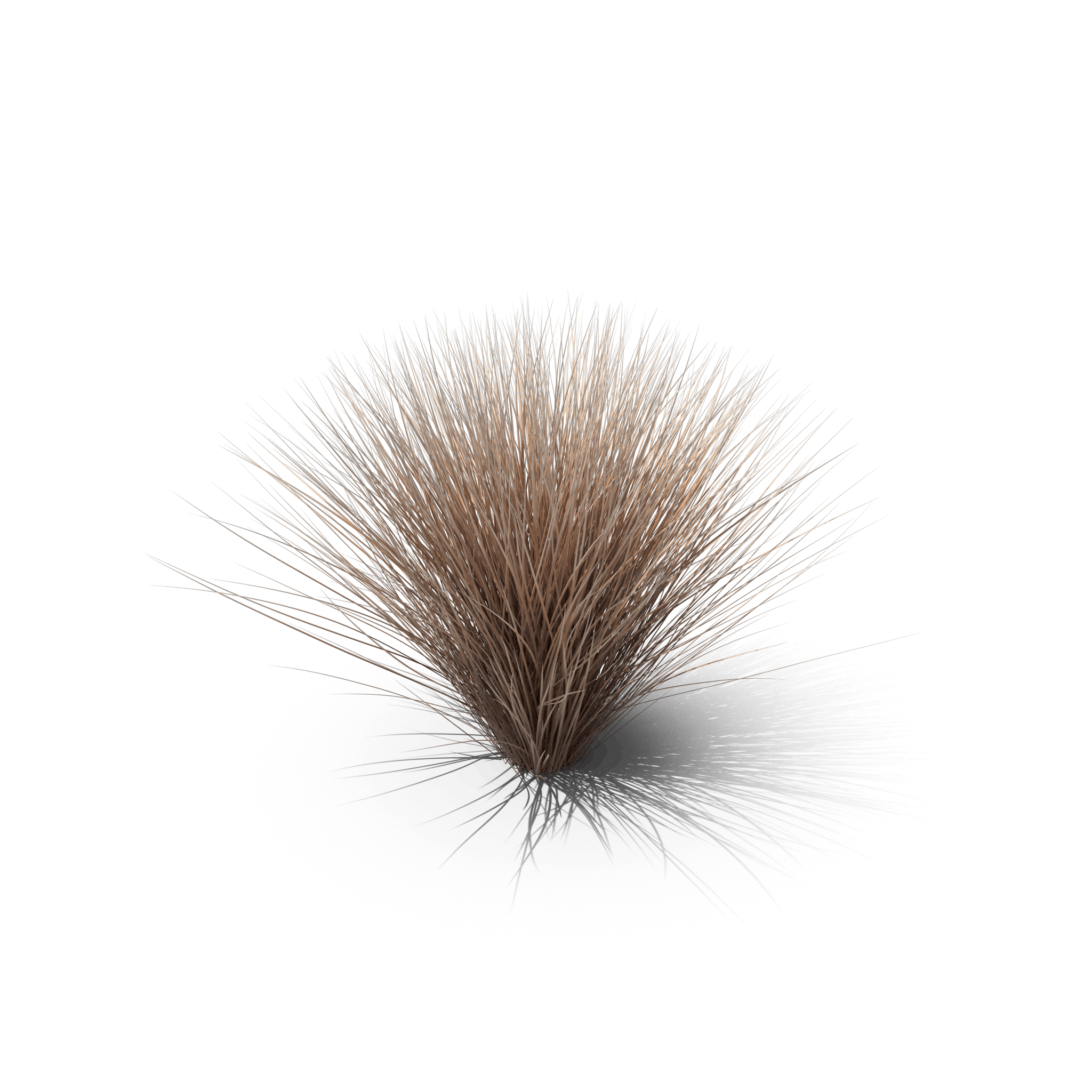 34.png