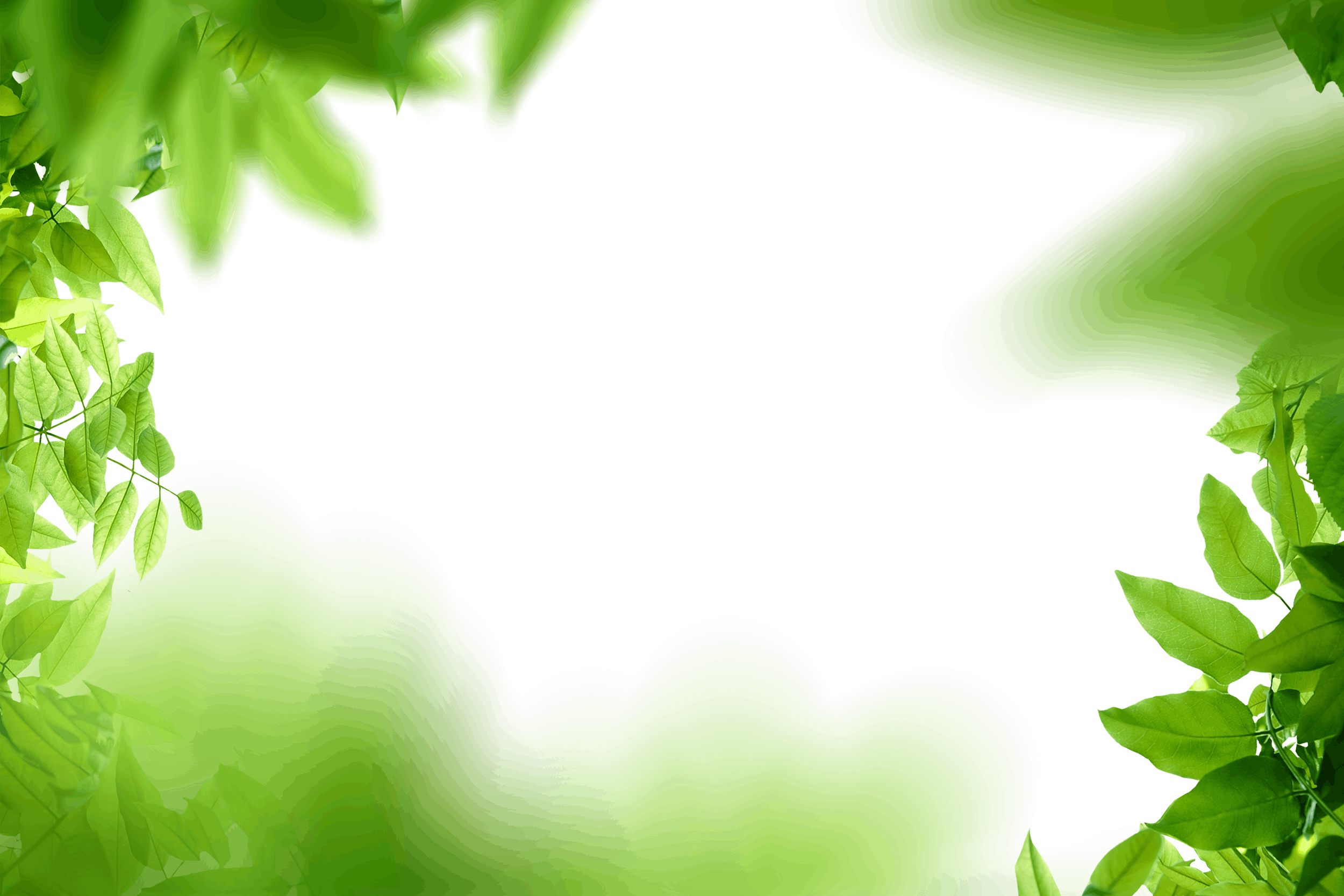 11.png