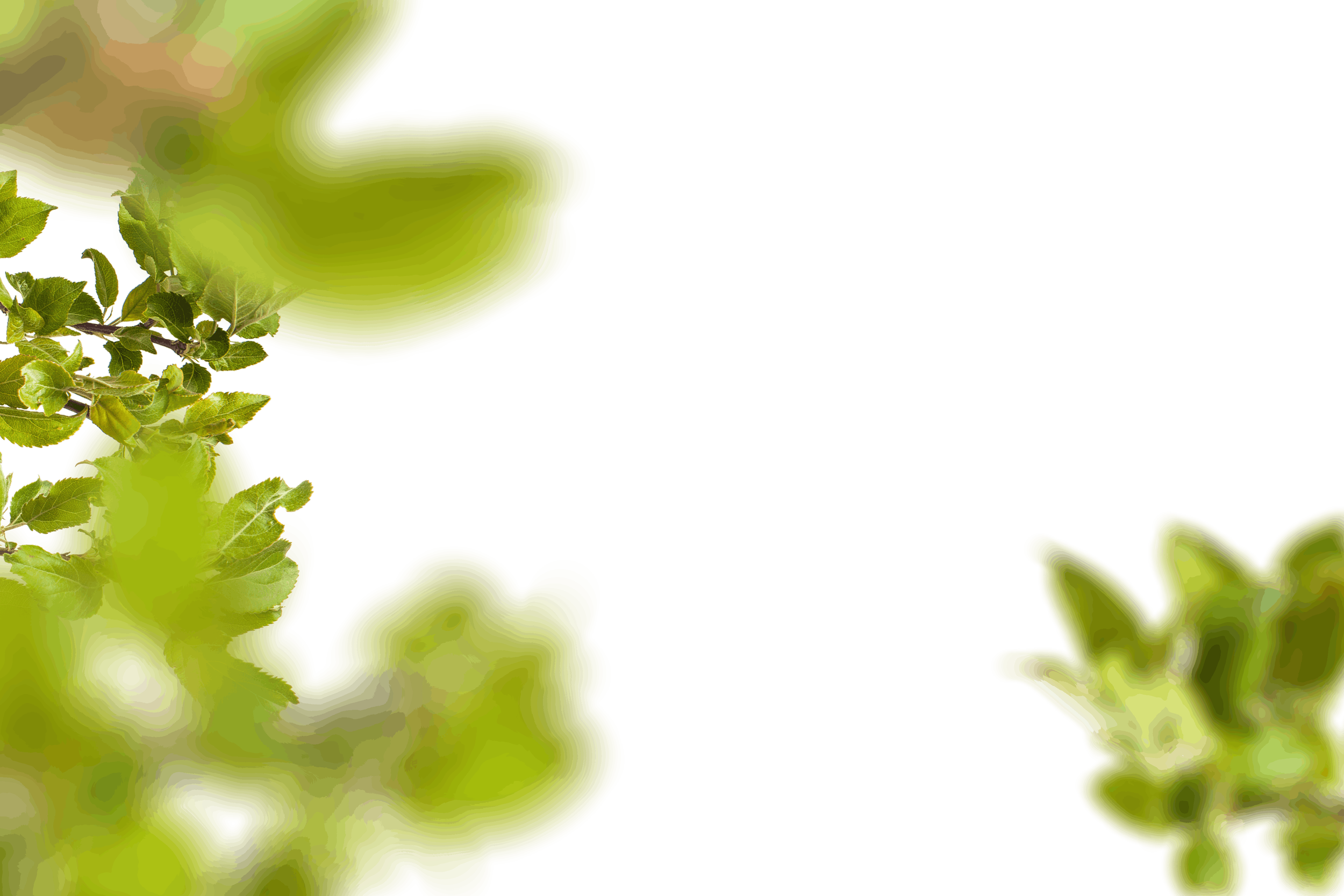 6.png