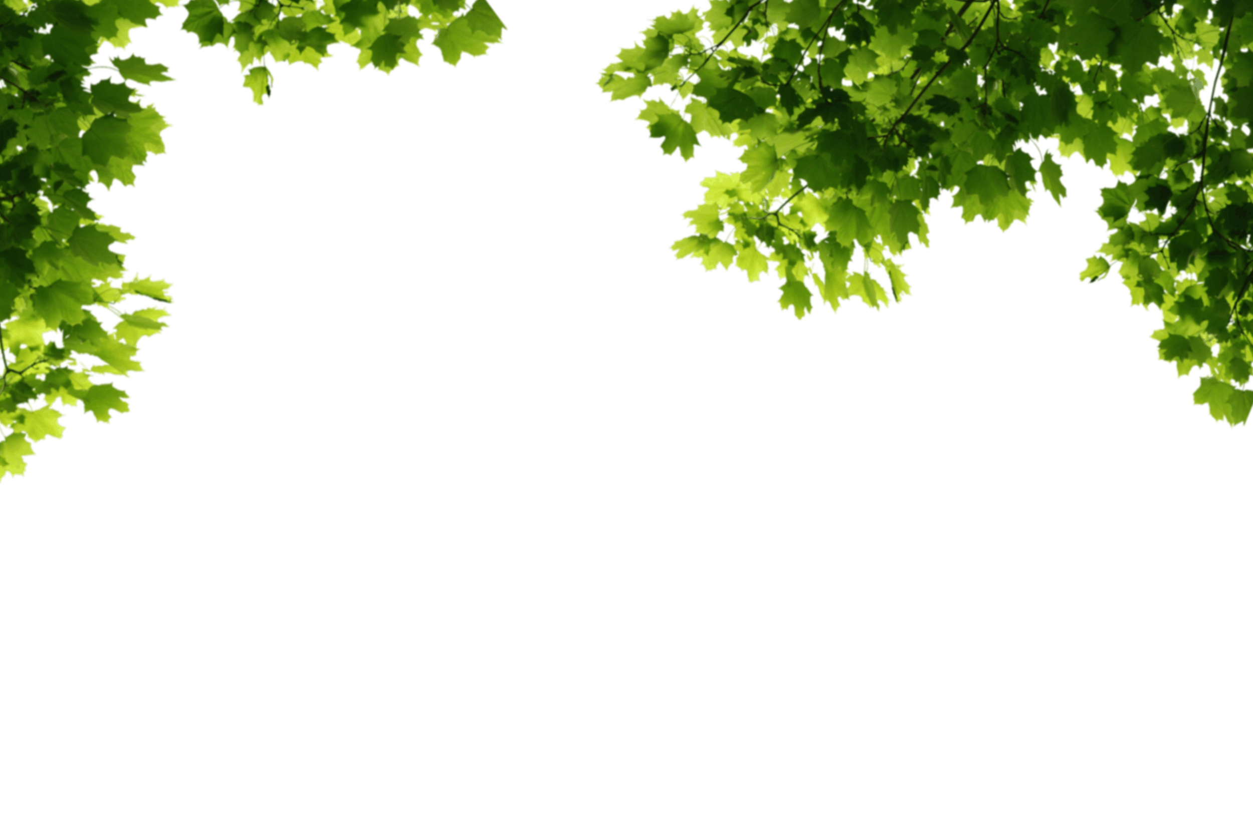 2.png