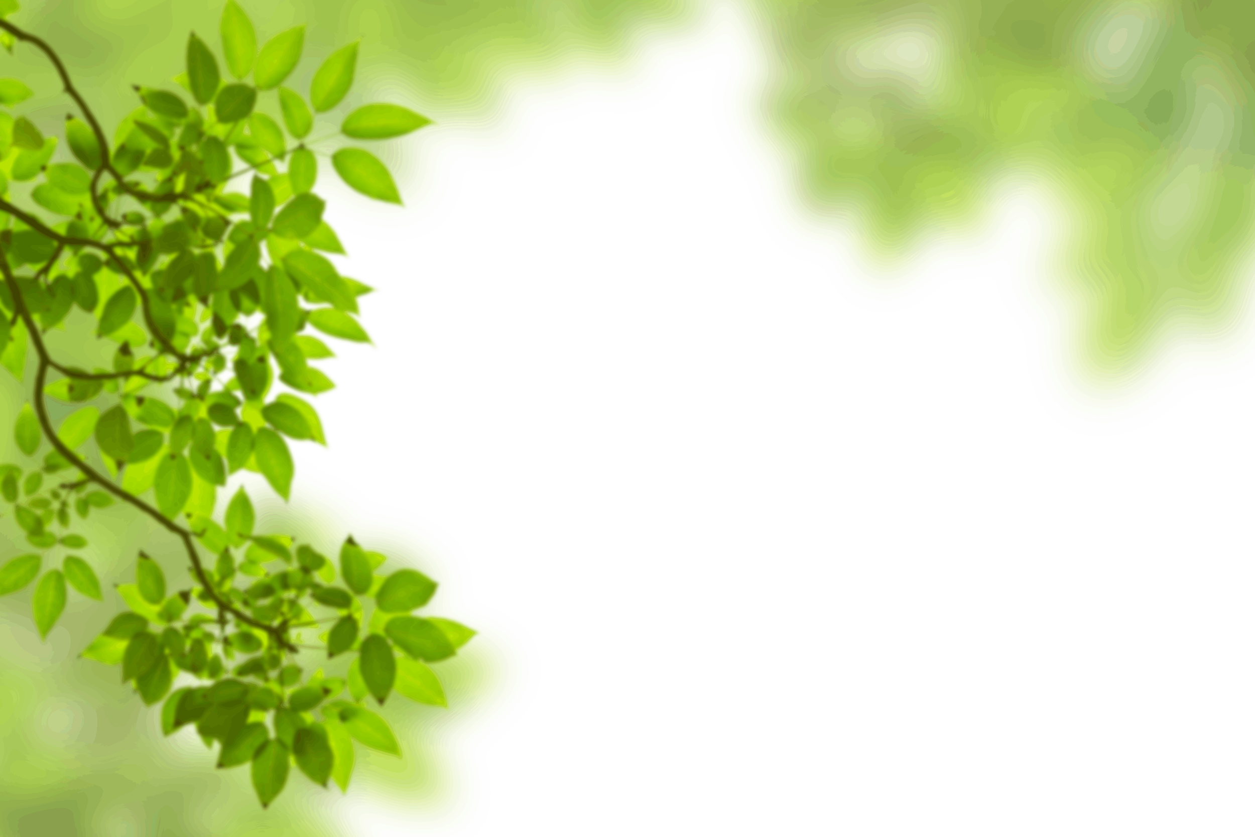 13.png