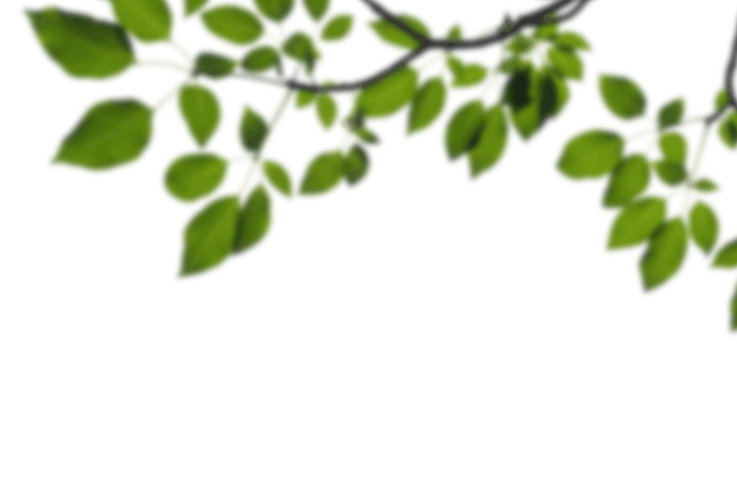 11.png