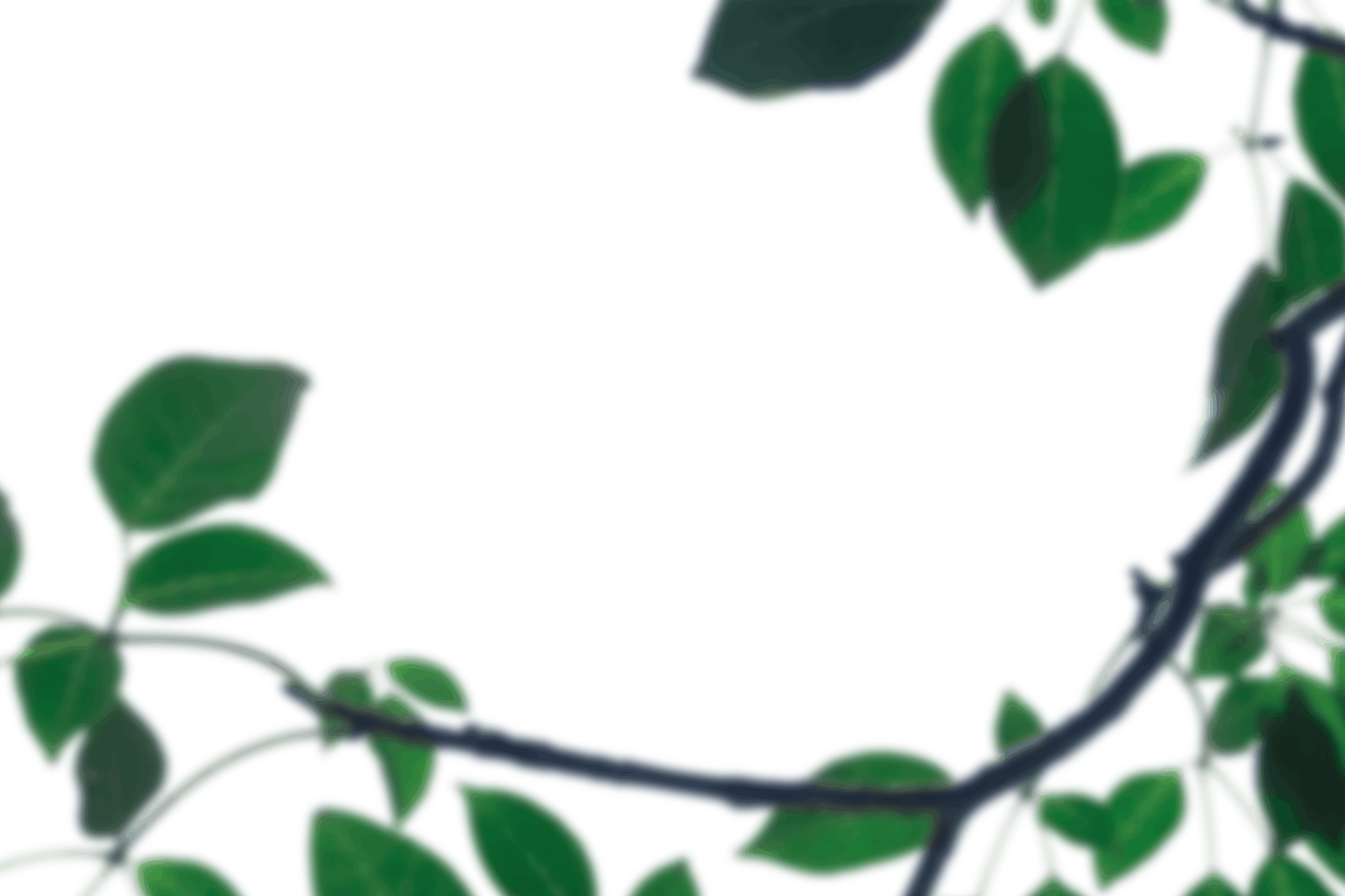 6.png