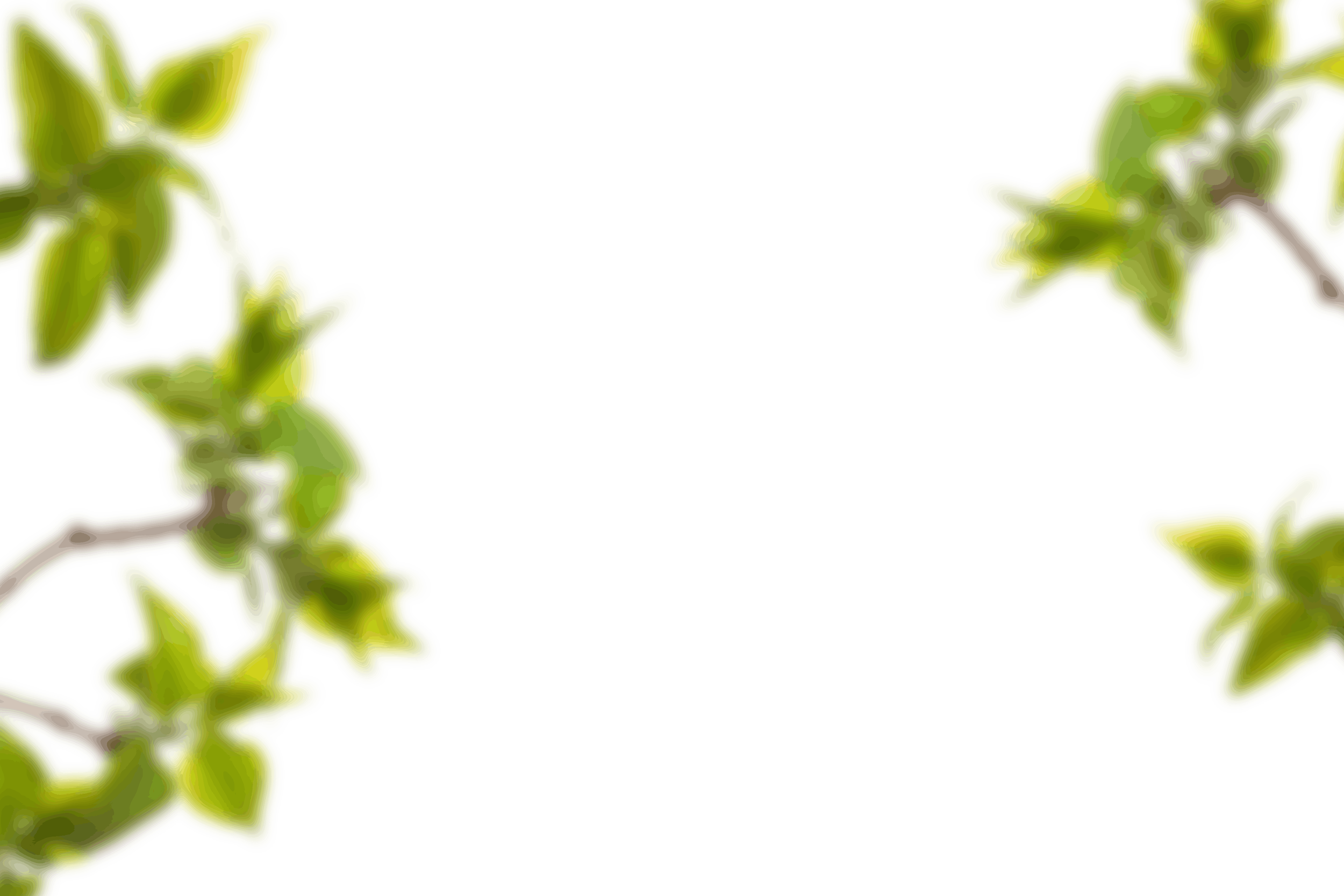 7.png