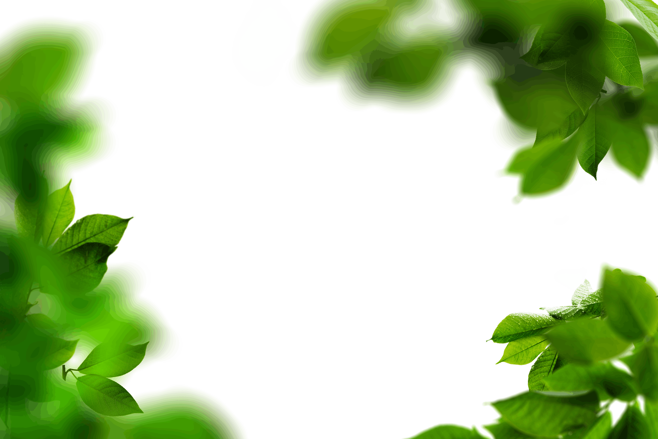 7.png