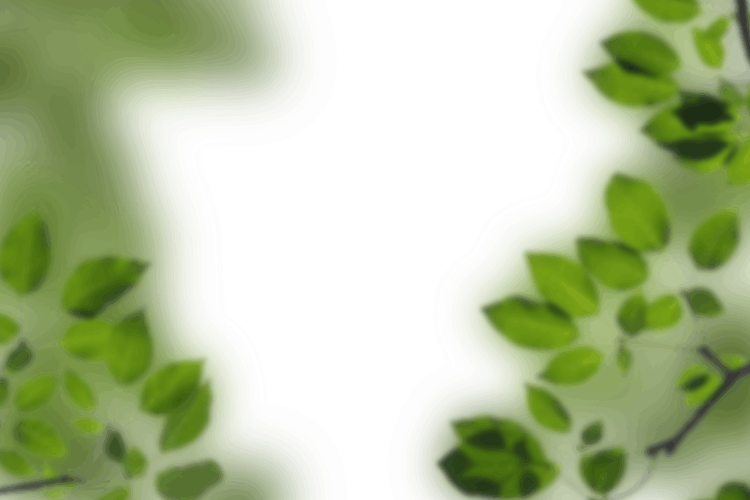 Green leaves (151).png