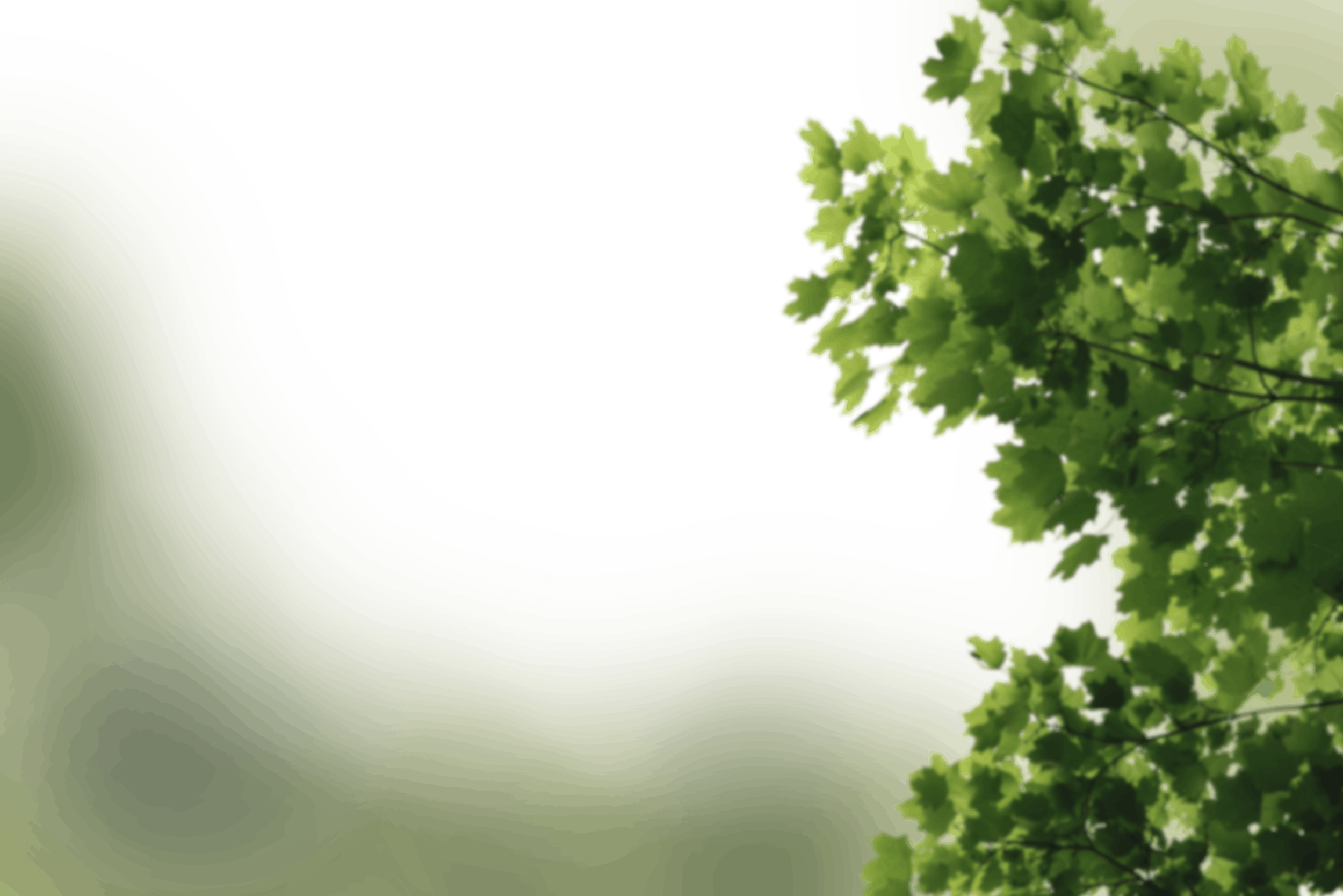 6.png