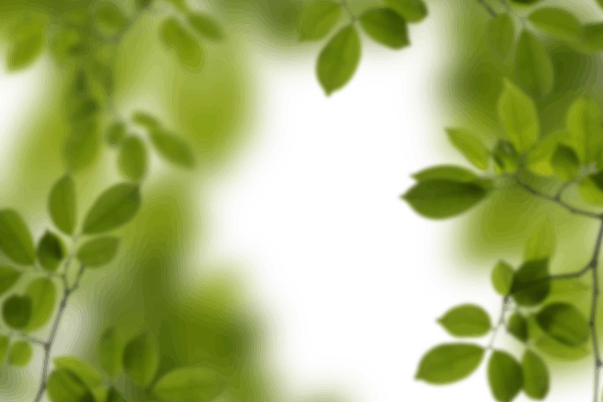 17.png