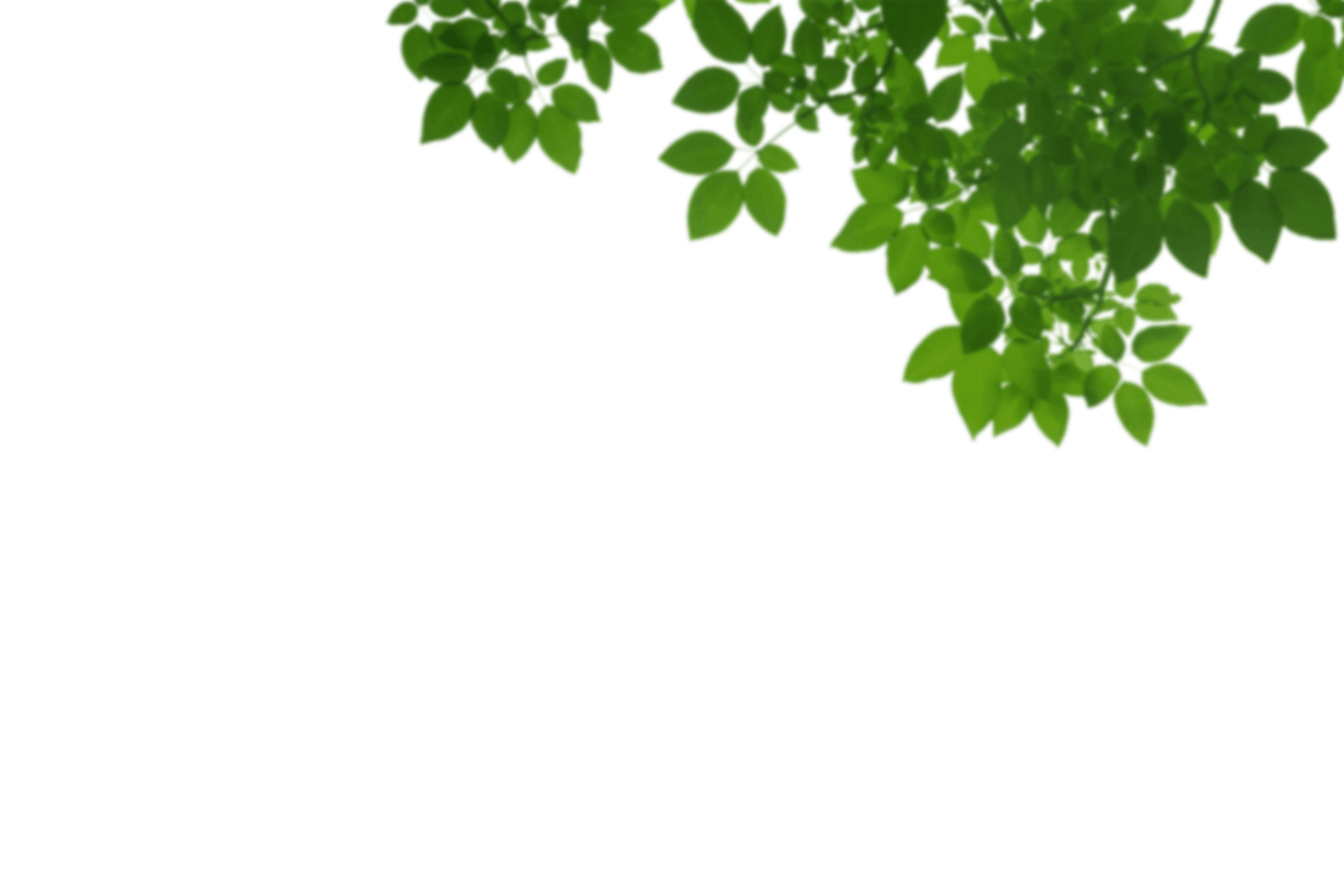 5.png