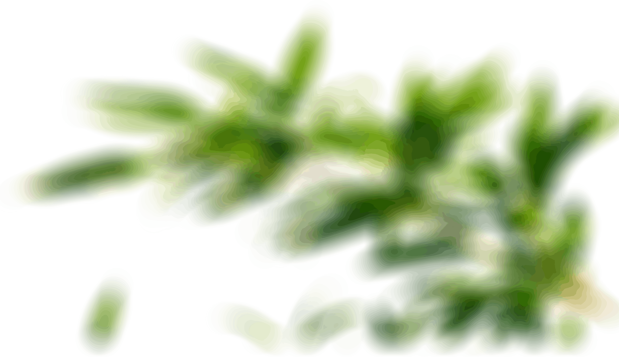 4.png