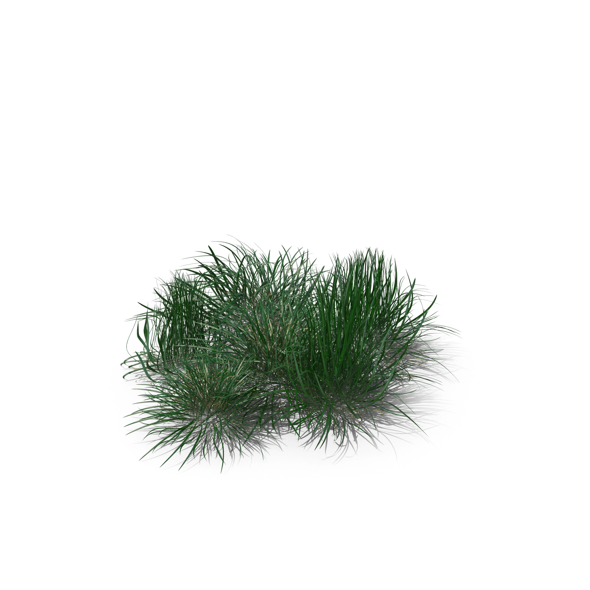 2.png