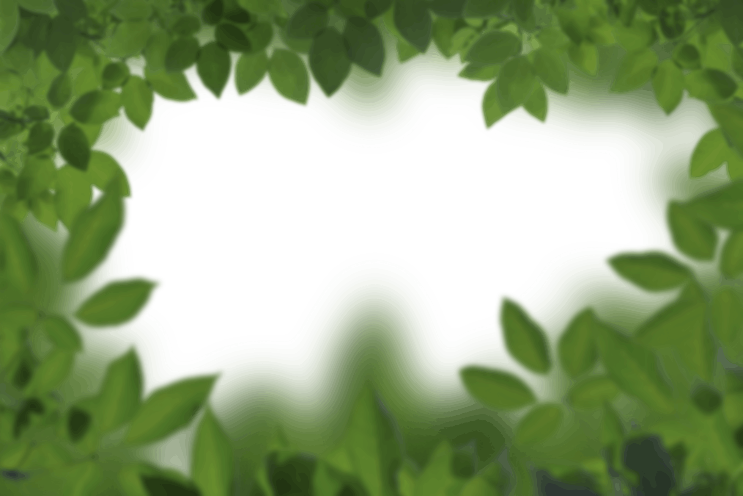 3.png