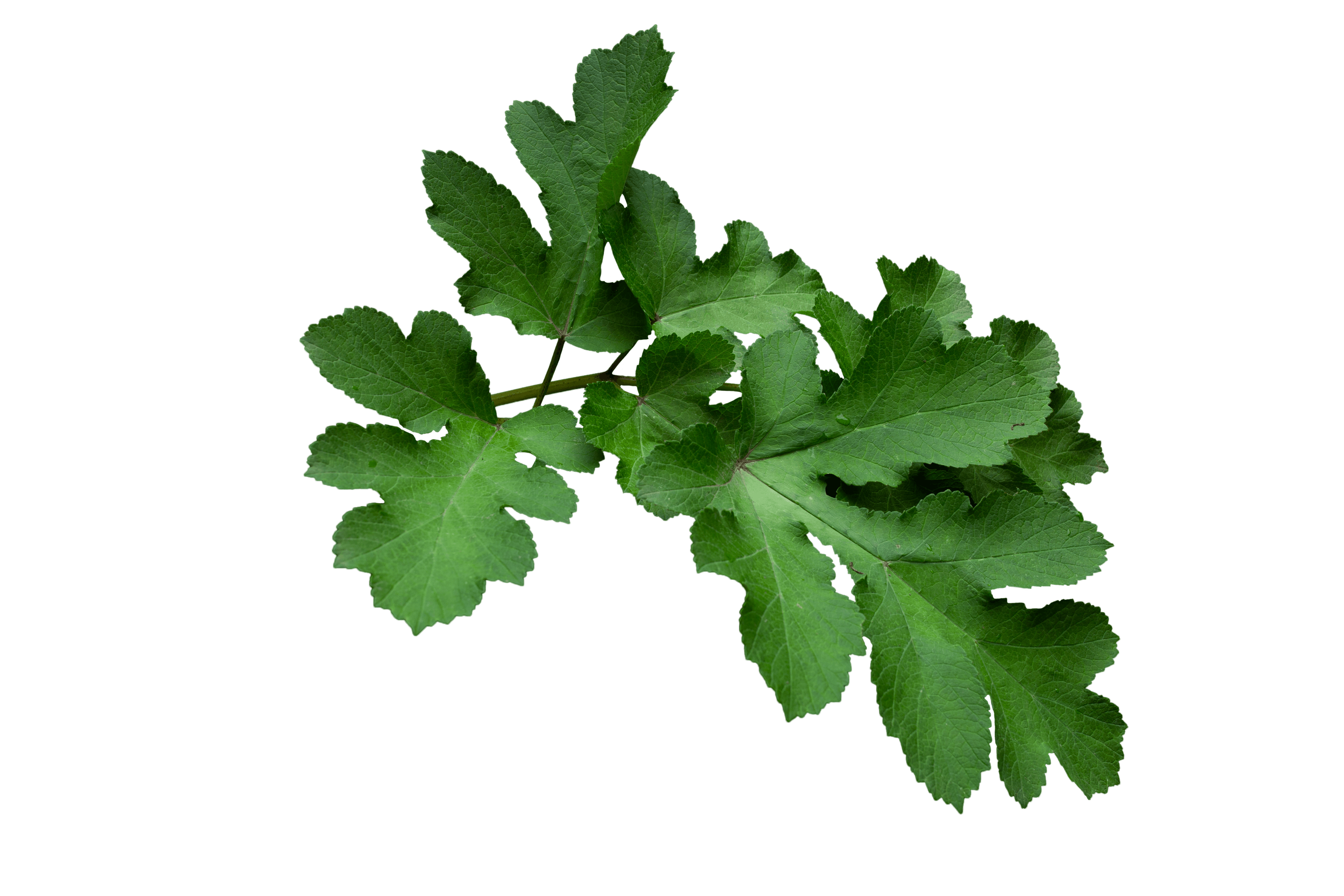 14.png
