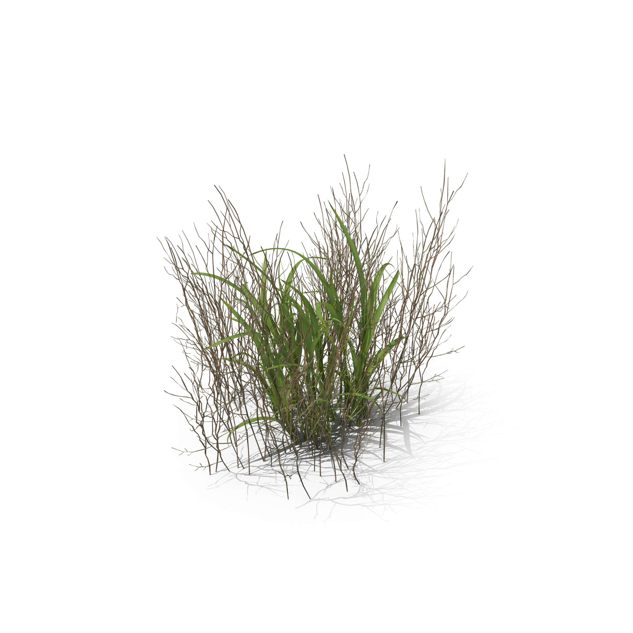 45.png