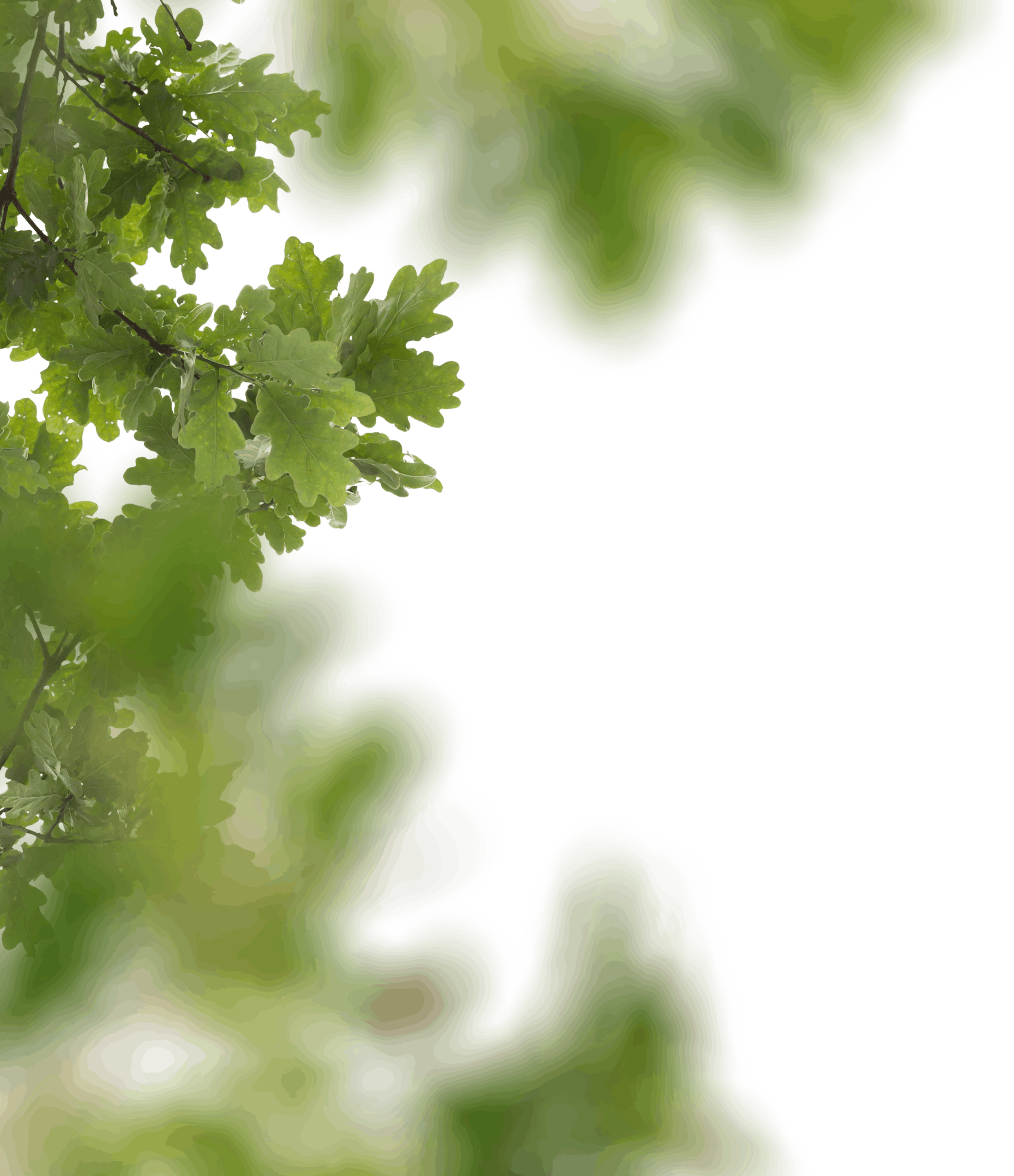 10.png
