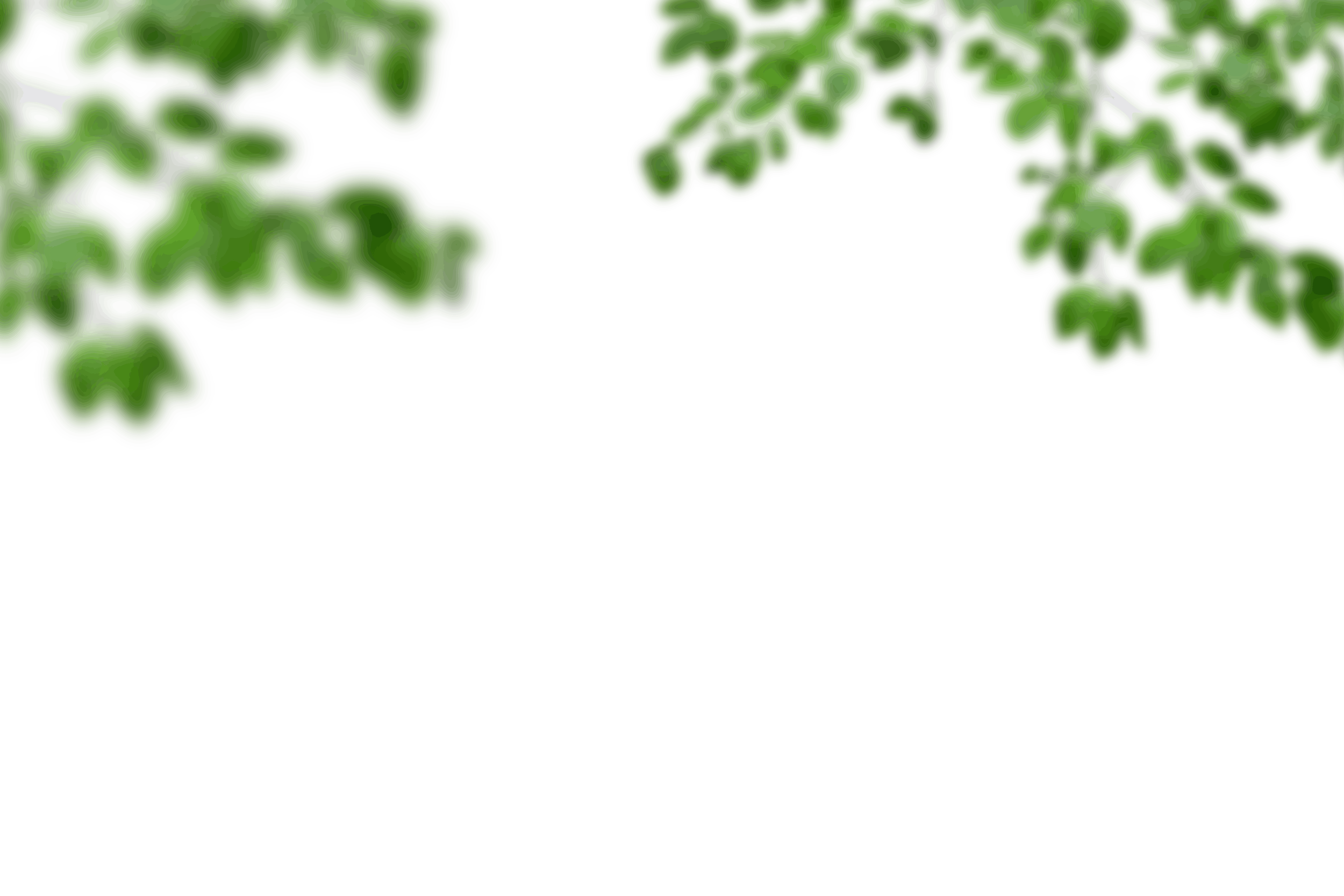 11.png