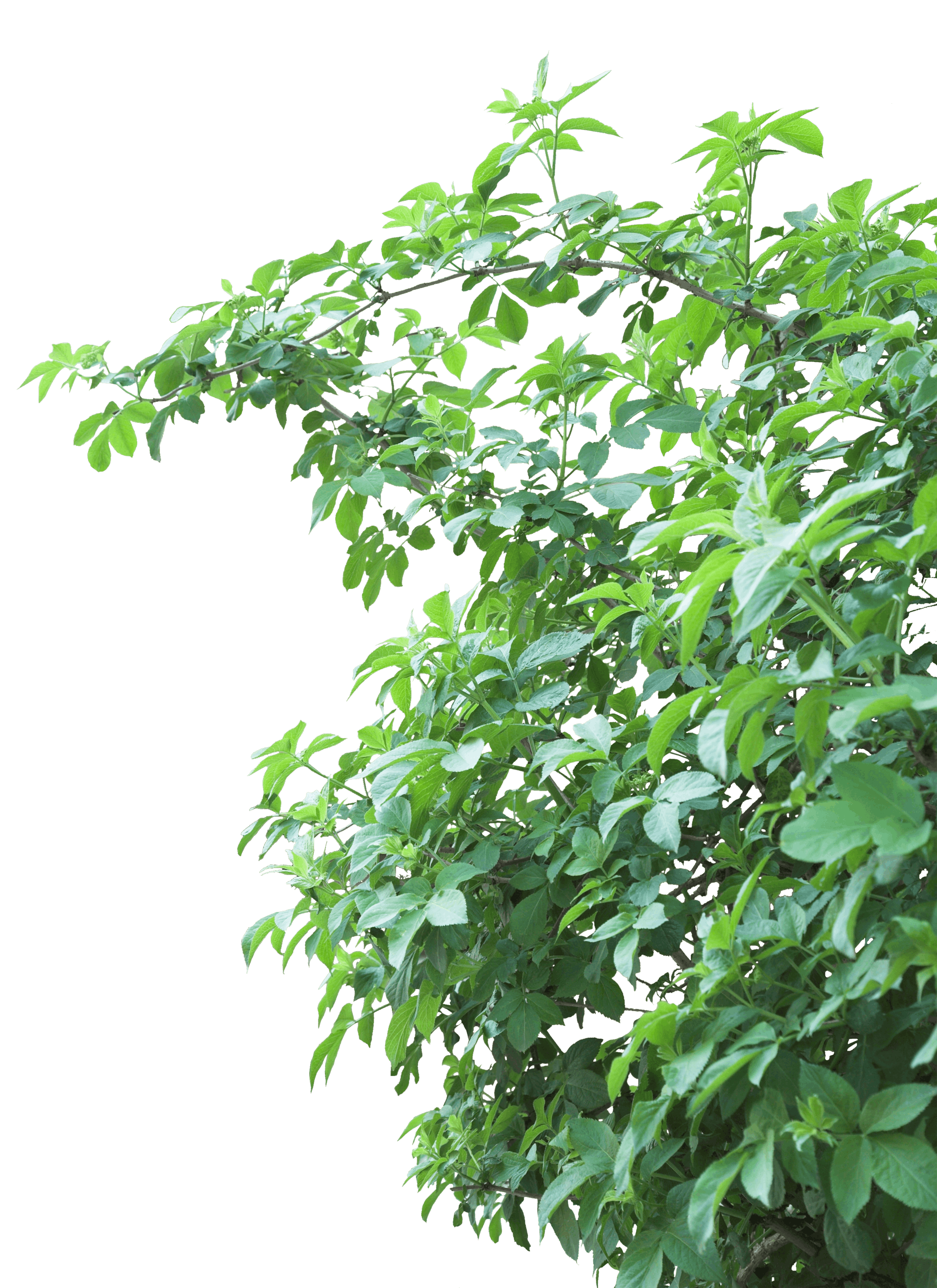 10.png