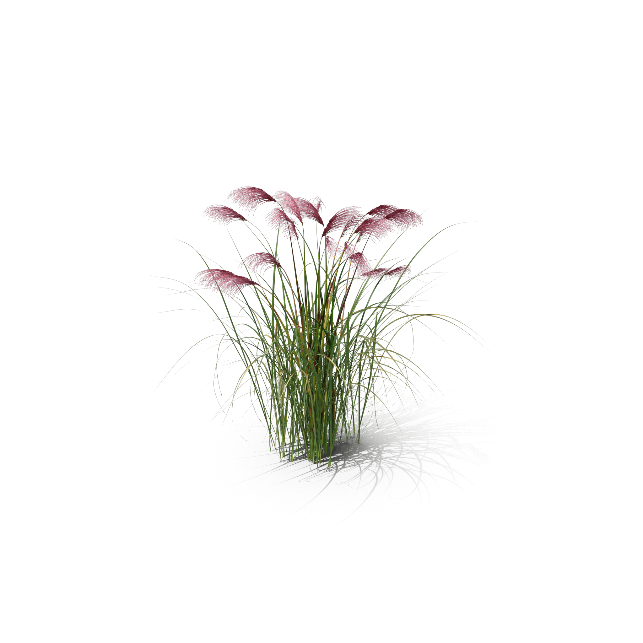 26.png